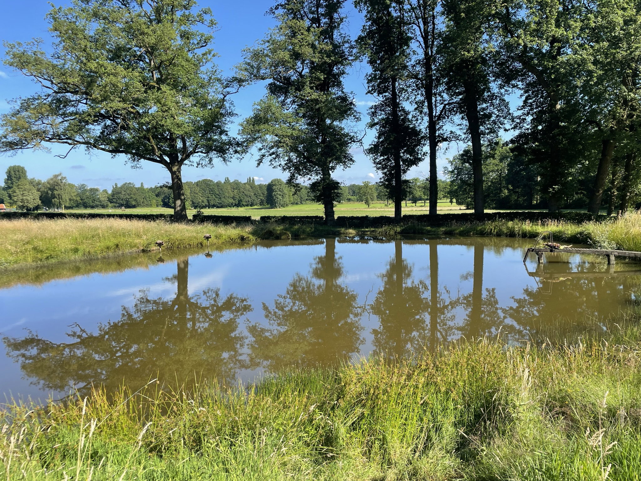 Naturhäuschen in de Lutte