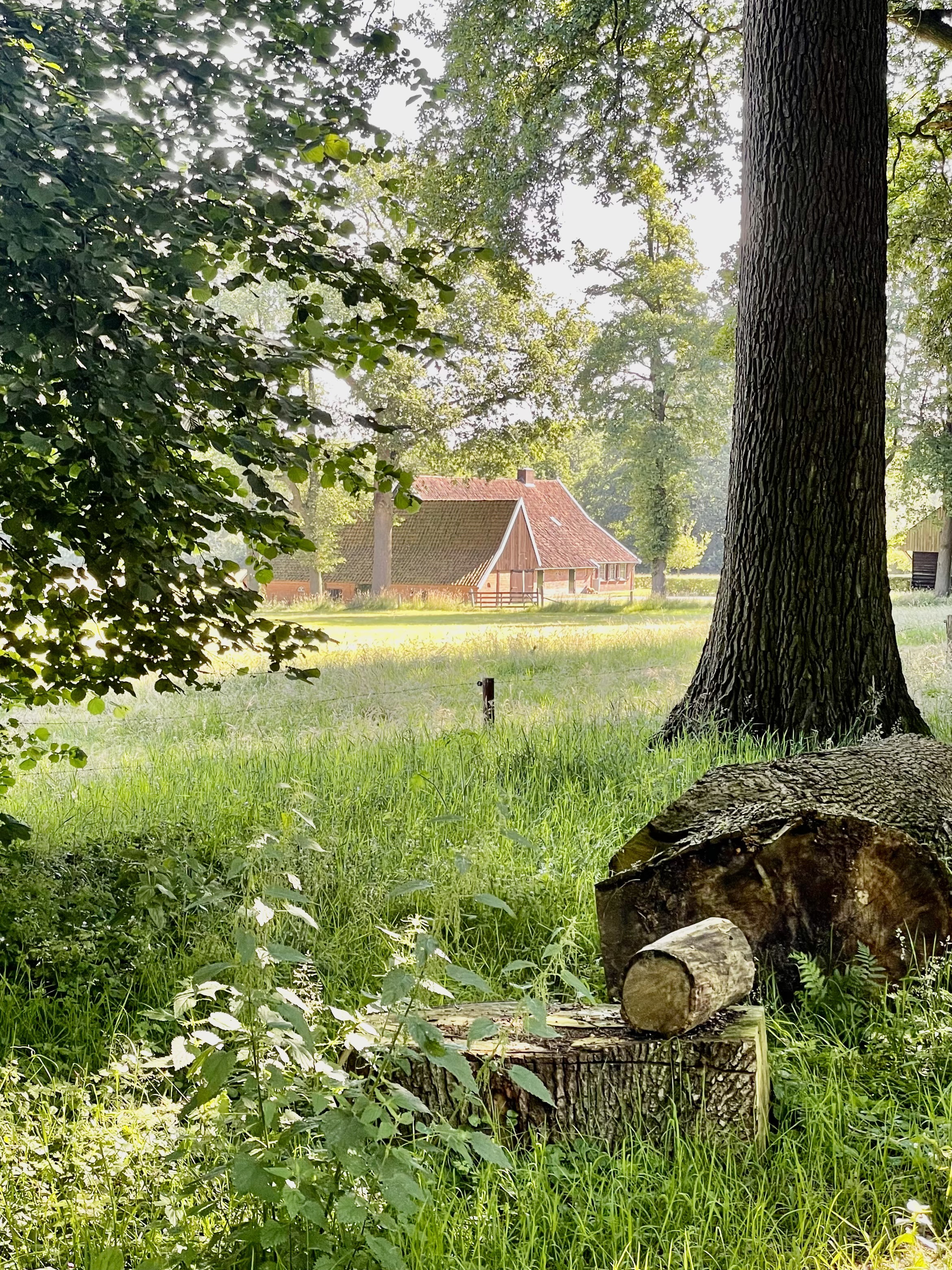 Naturhäuschen in de Lutte