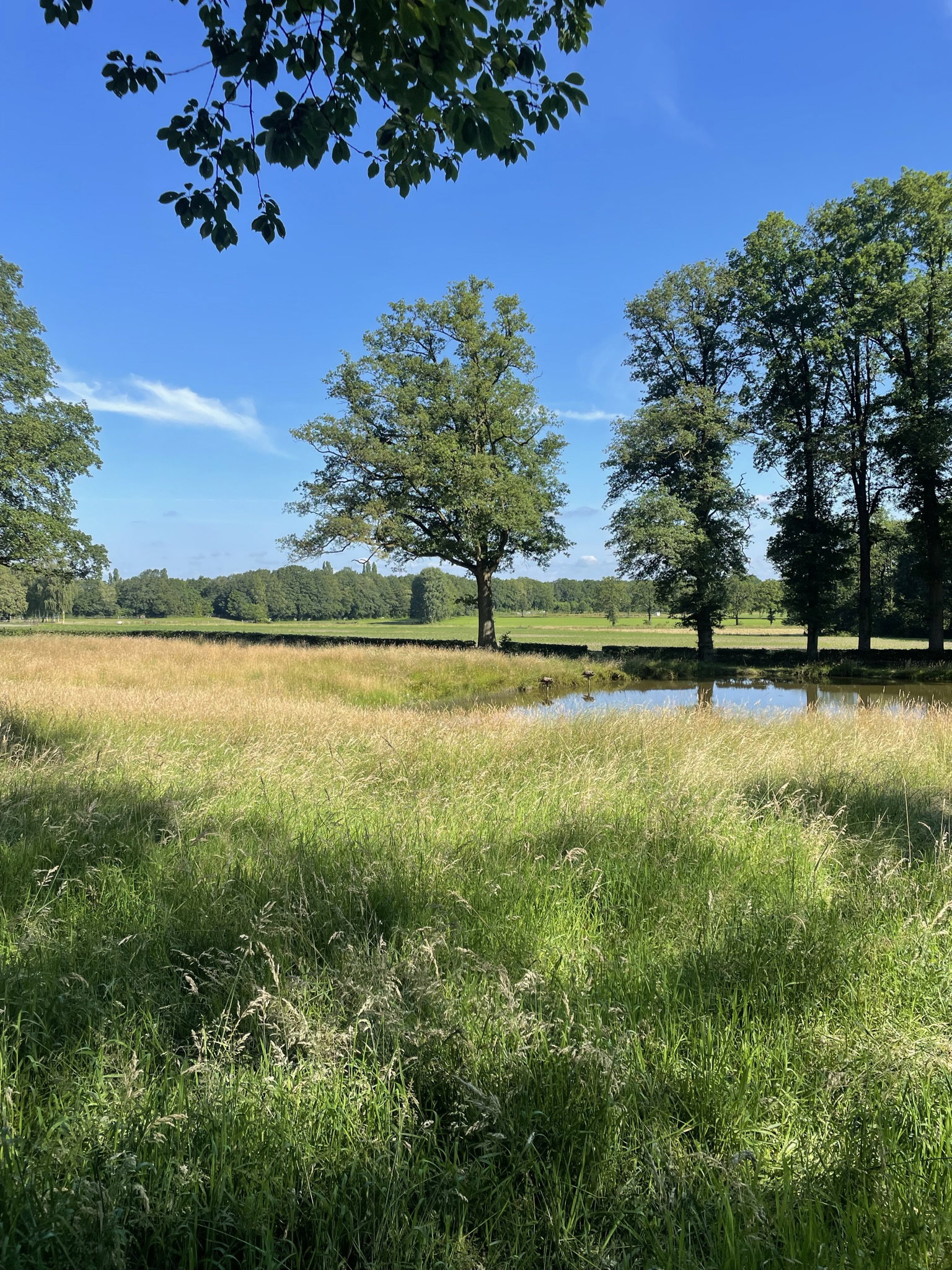Naturhäuschen in de Lutte