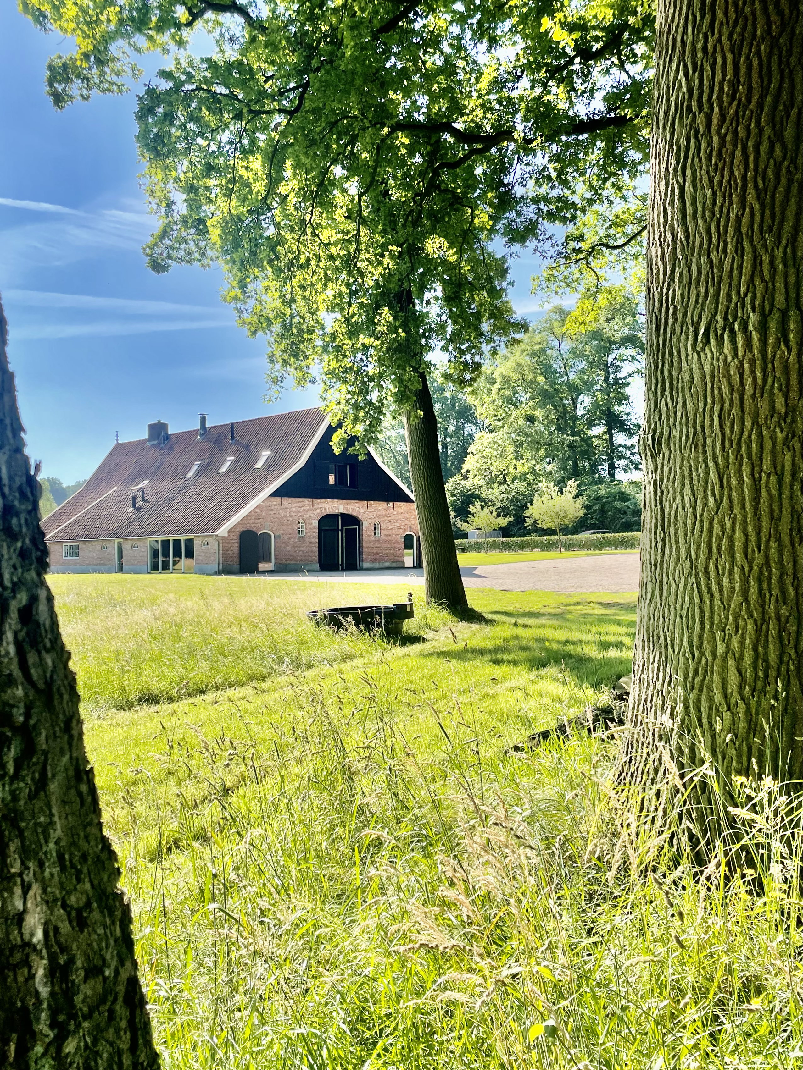 Naturhäuschen in de Lutte