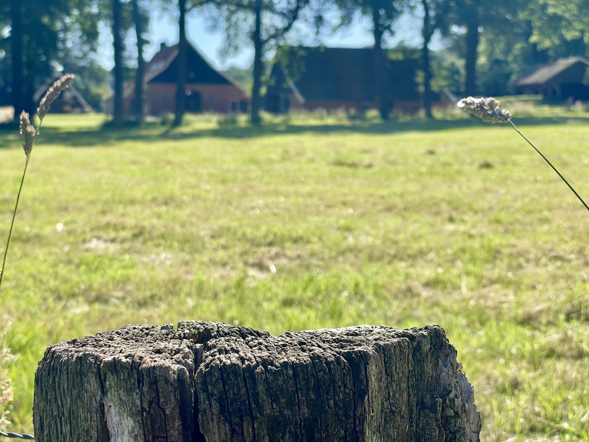 Naturhäuschen in de Lutte