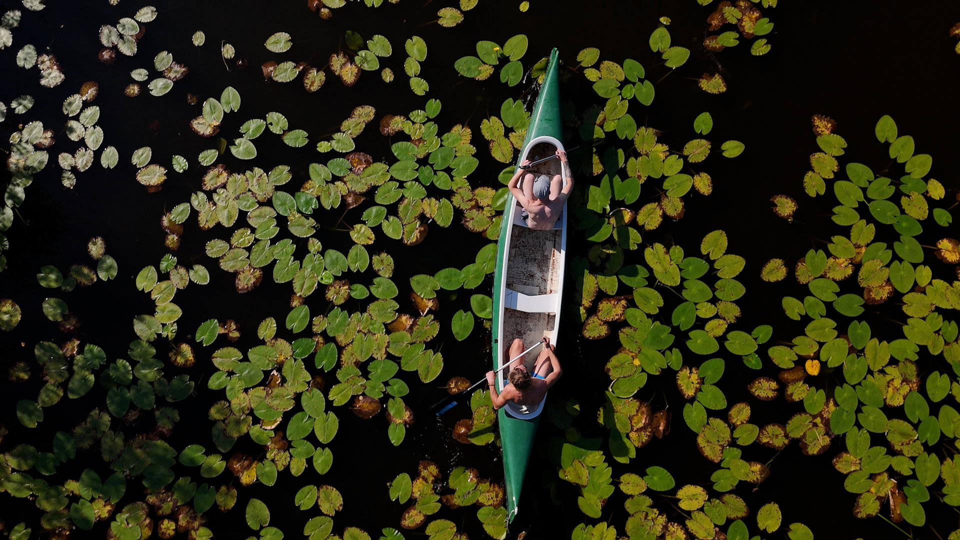 Casa nella natura a Breukelen