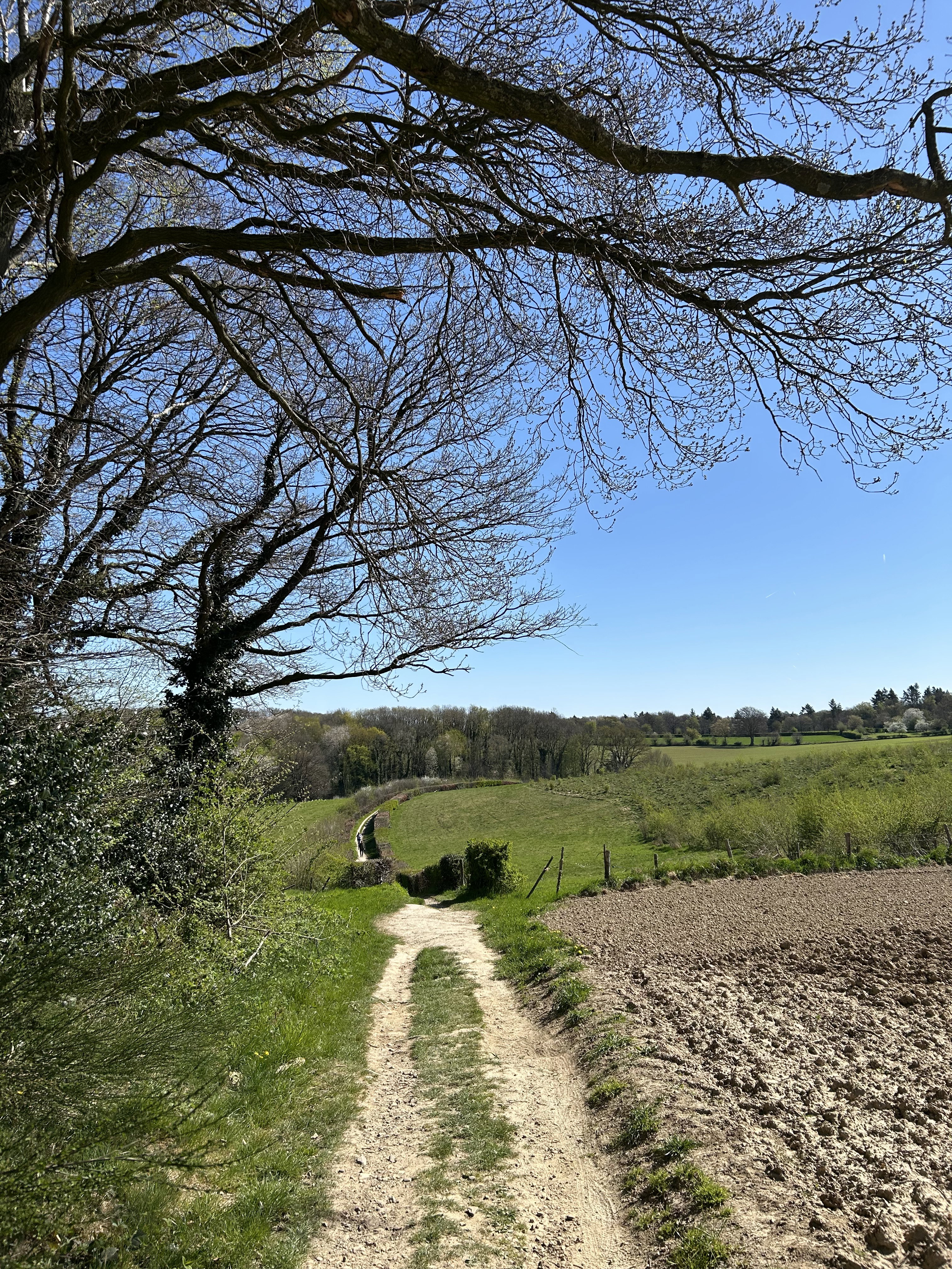 - image: 12