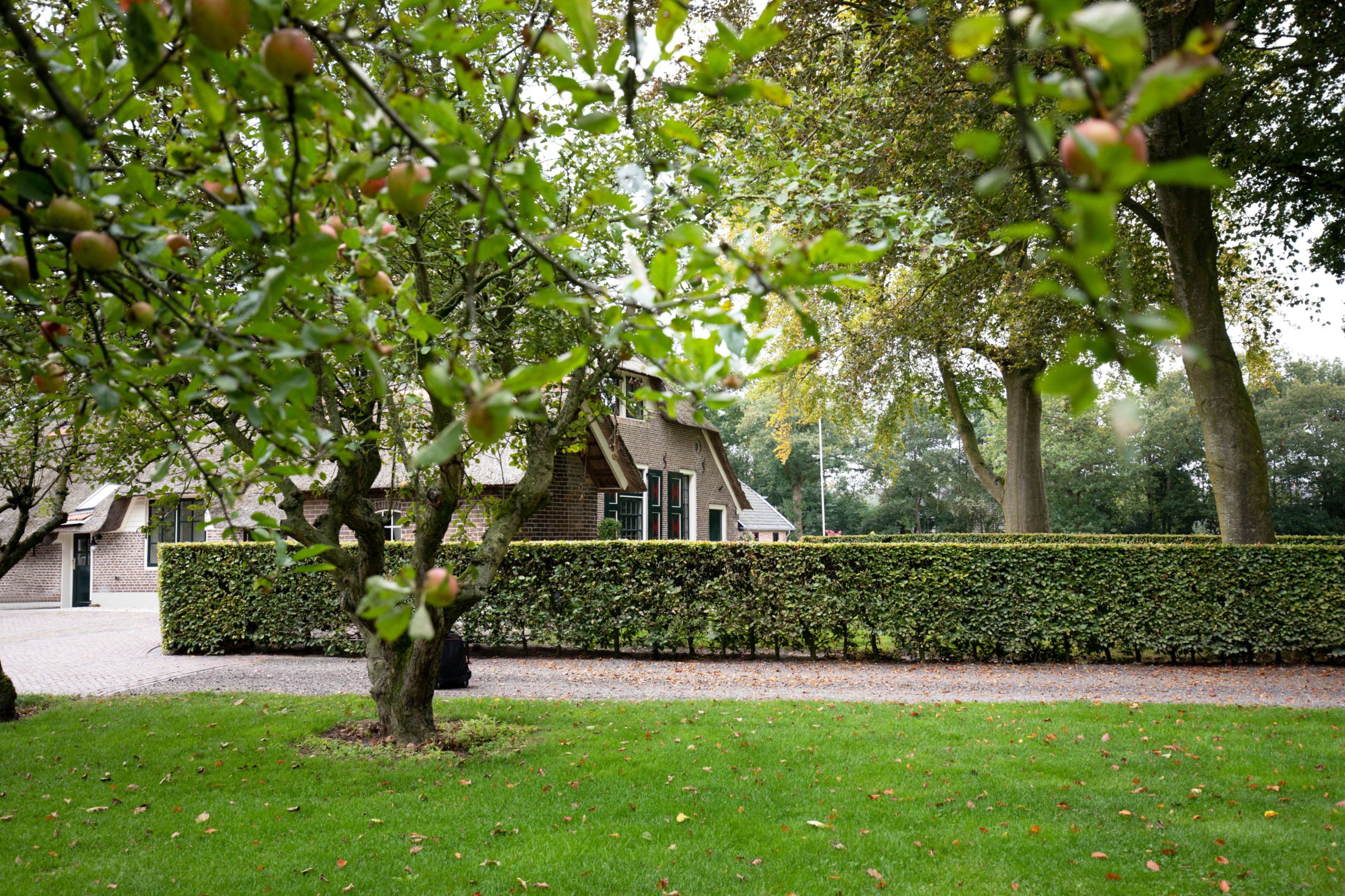 Natuurhuisje in Oldebroek