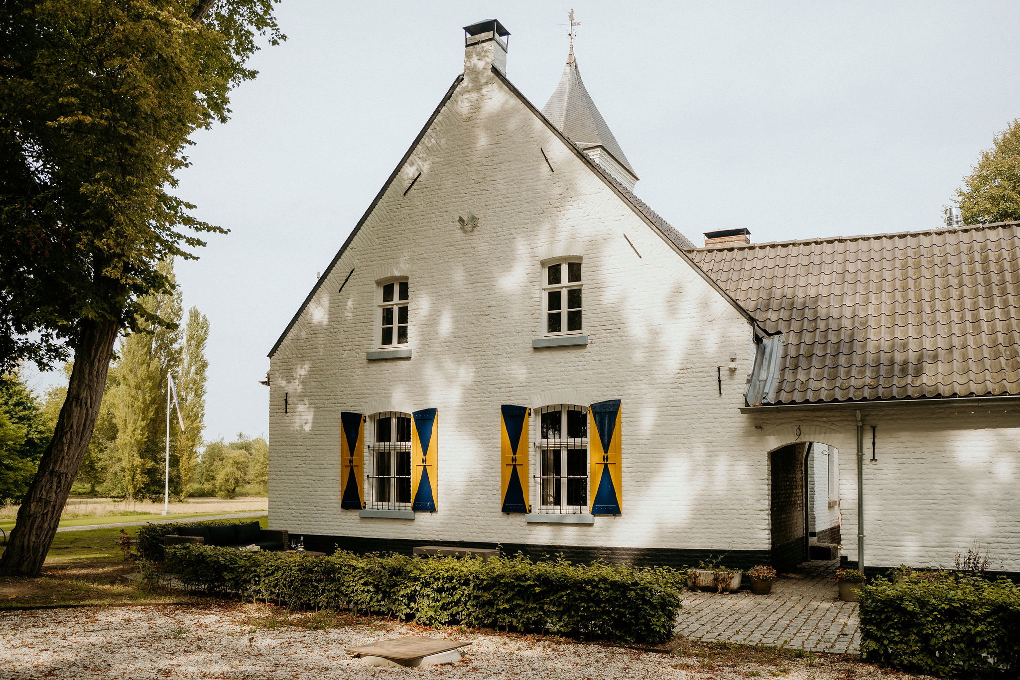 - image: 1