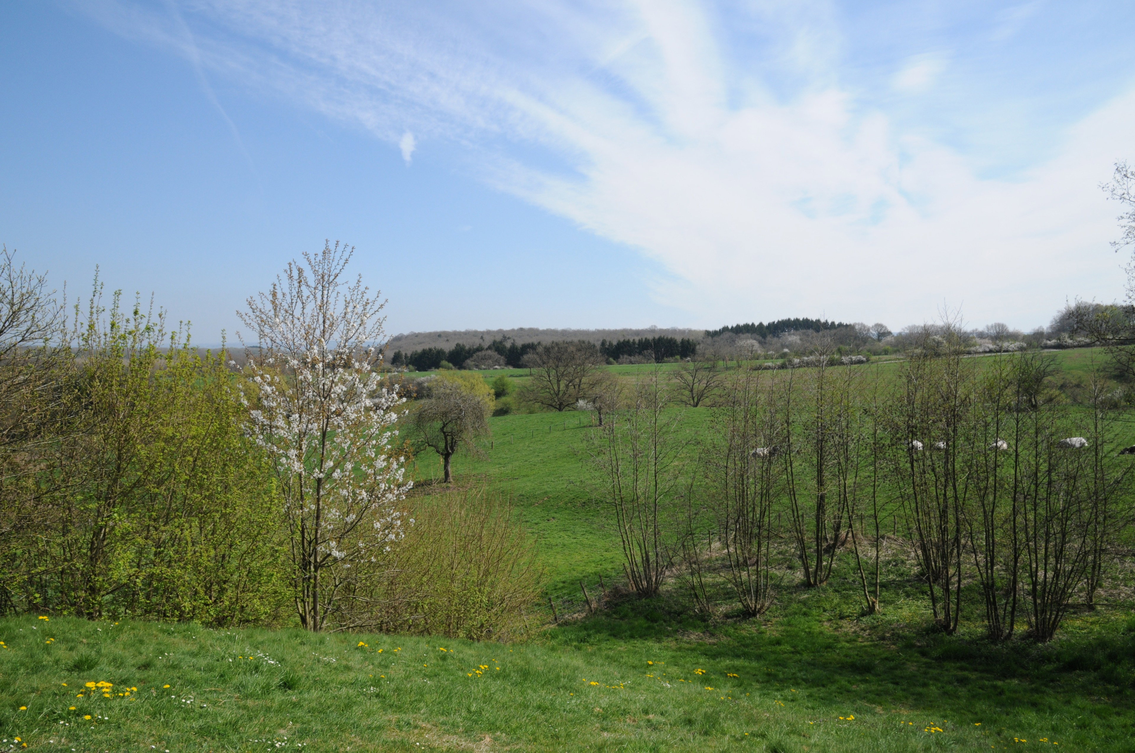 - image: 15