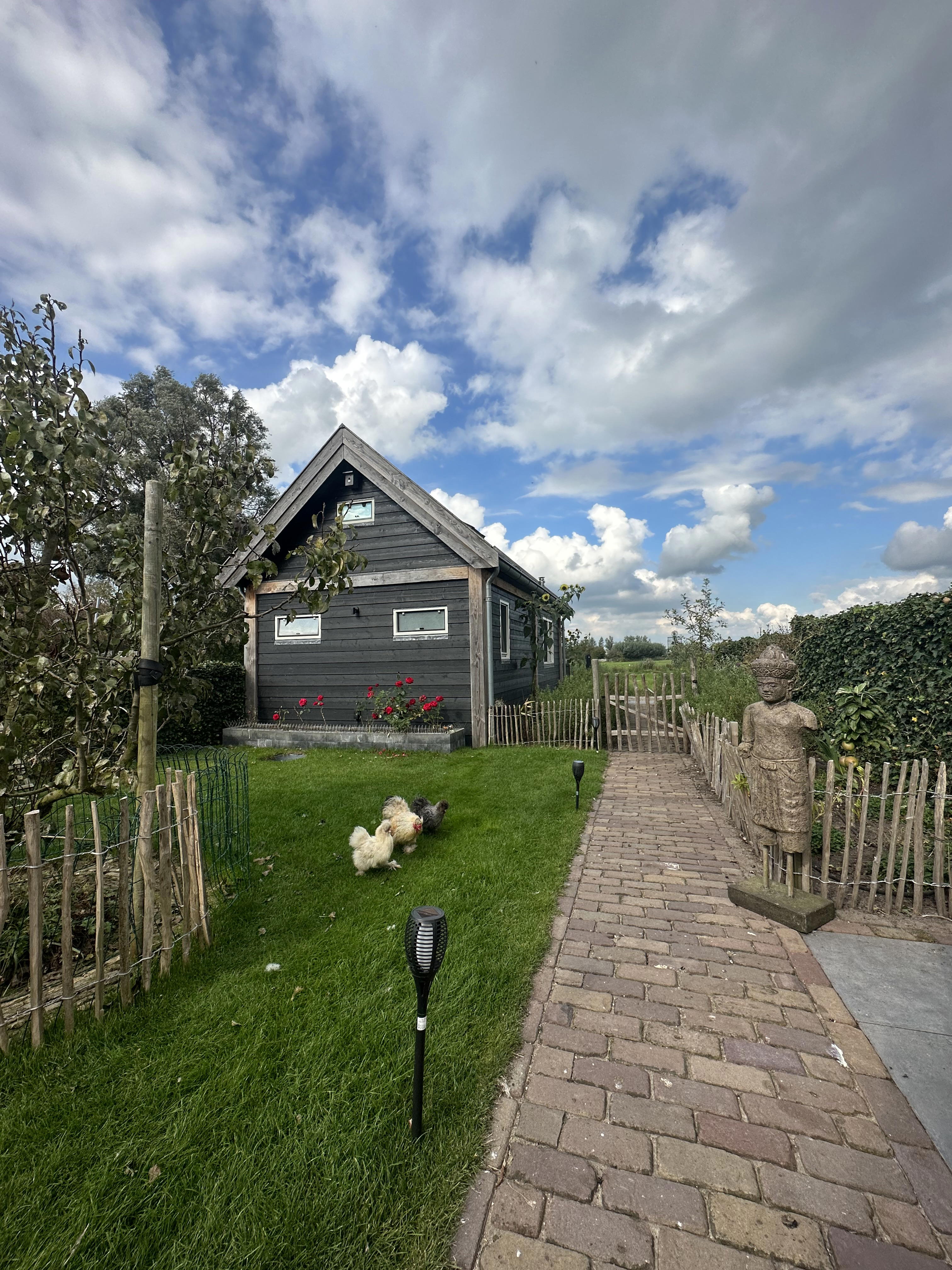 Nature house in Jisp