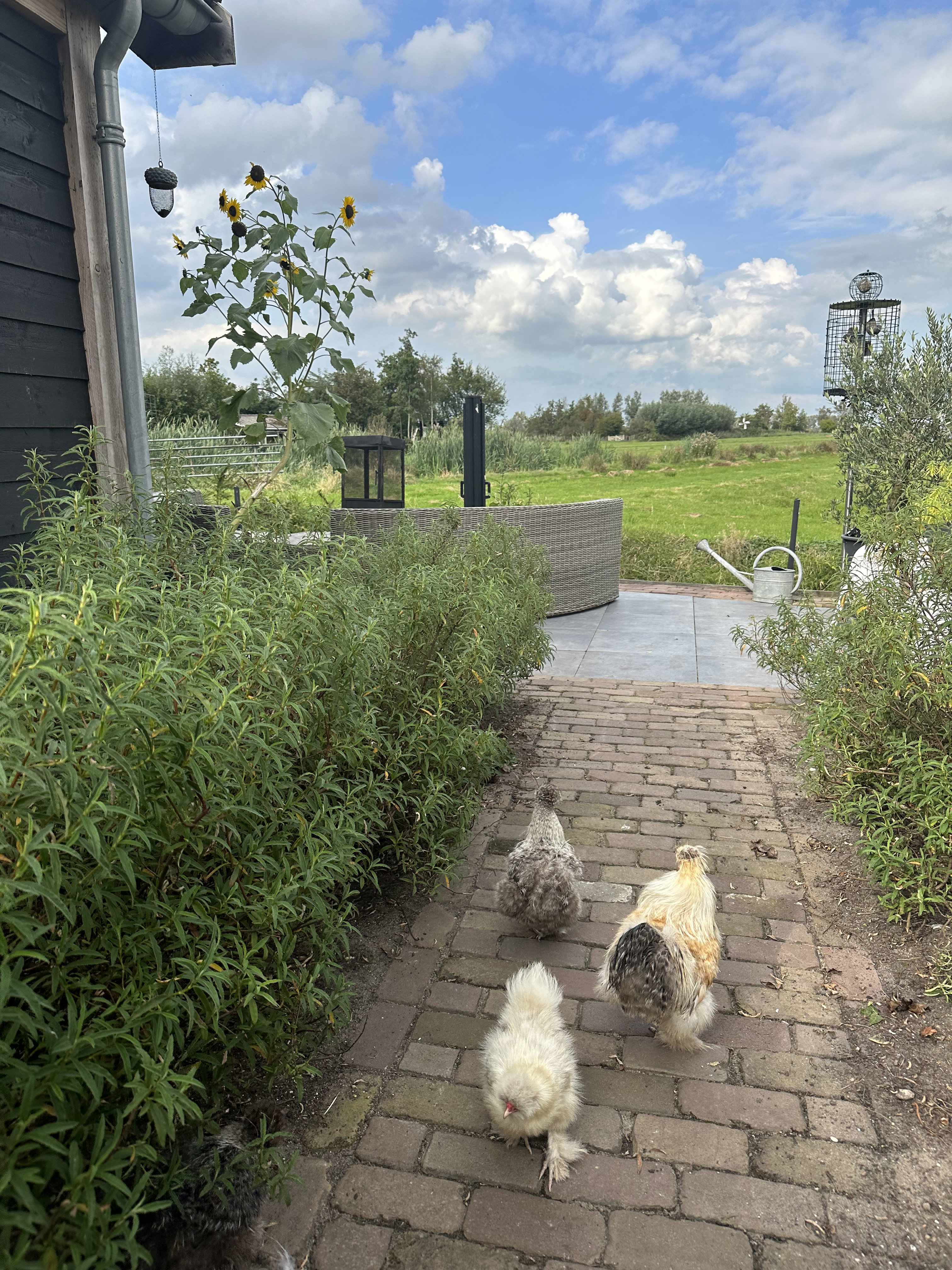 Naturhäuschen in Jisp