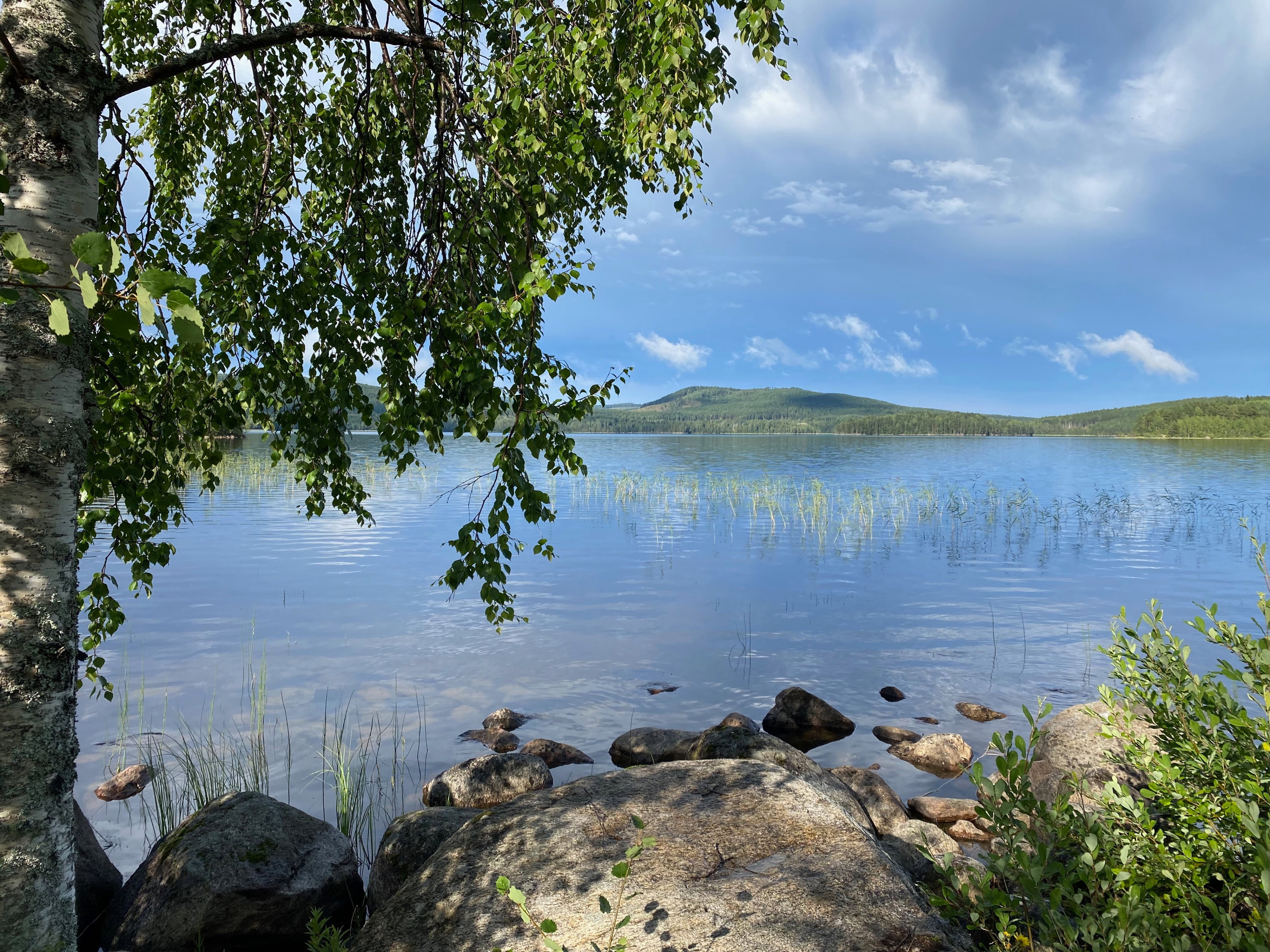 Natuurhuisje in Bjuråker