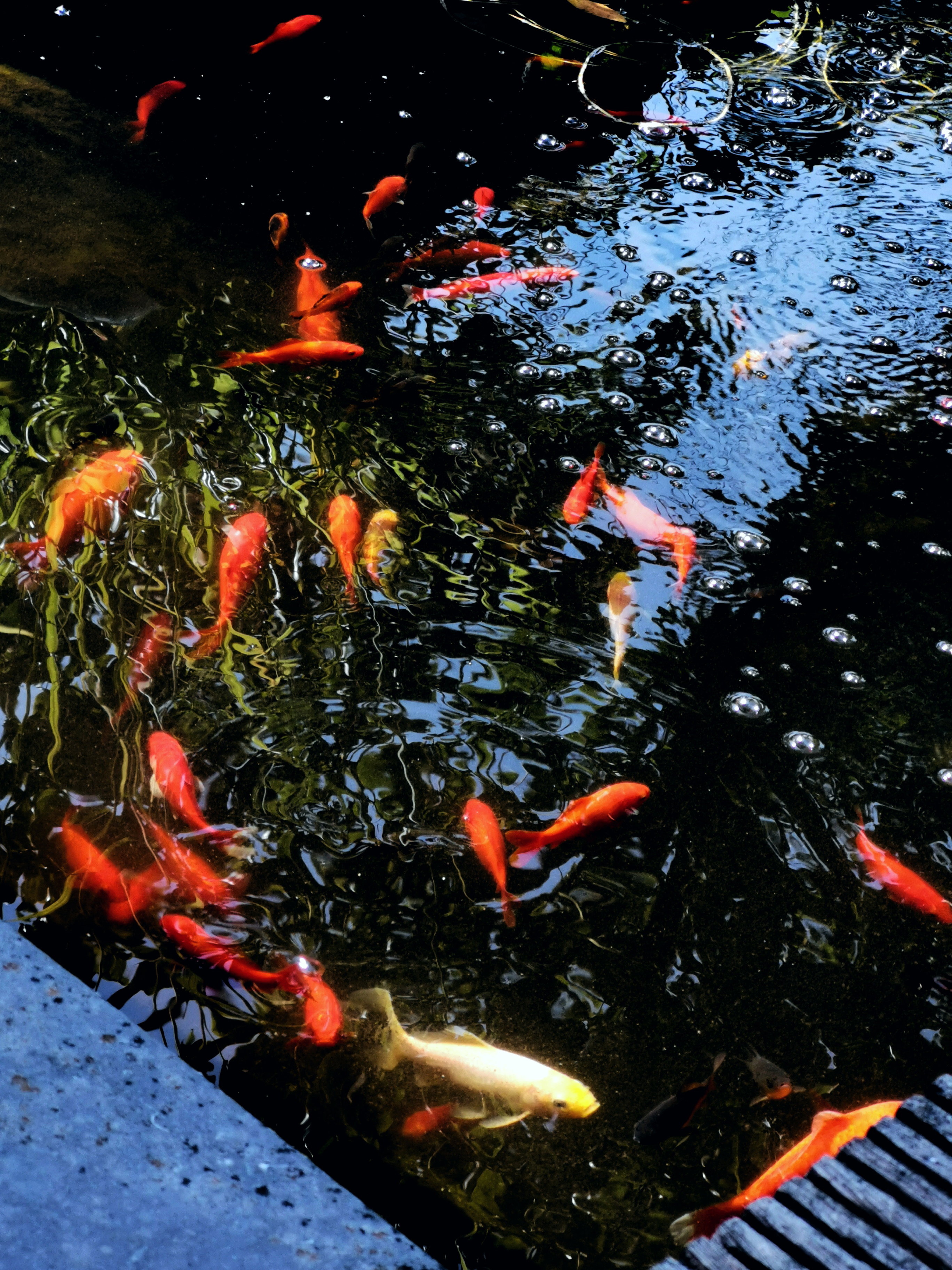 - image: 11