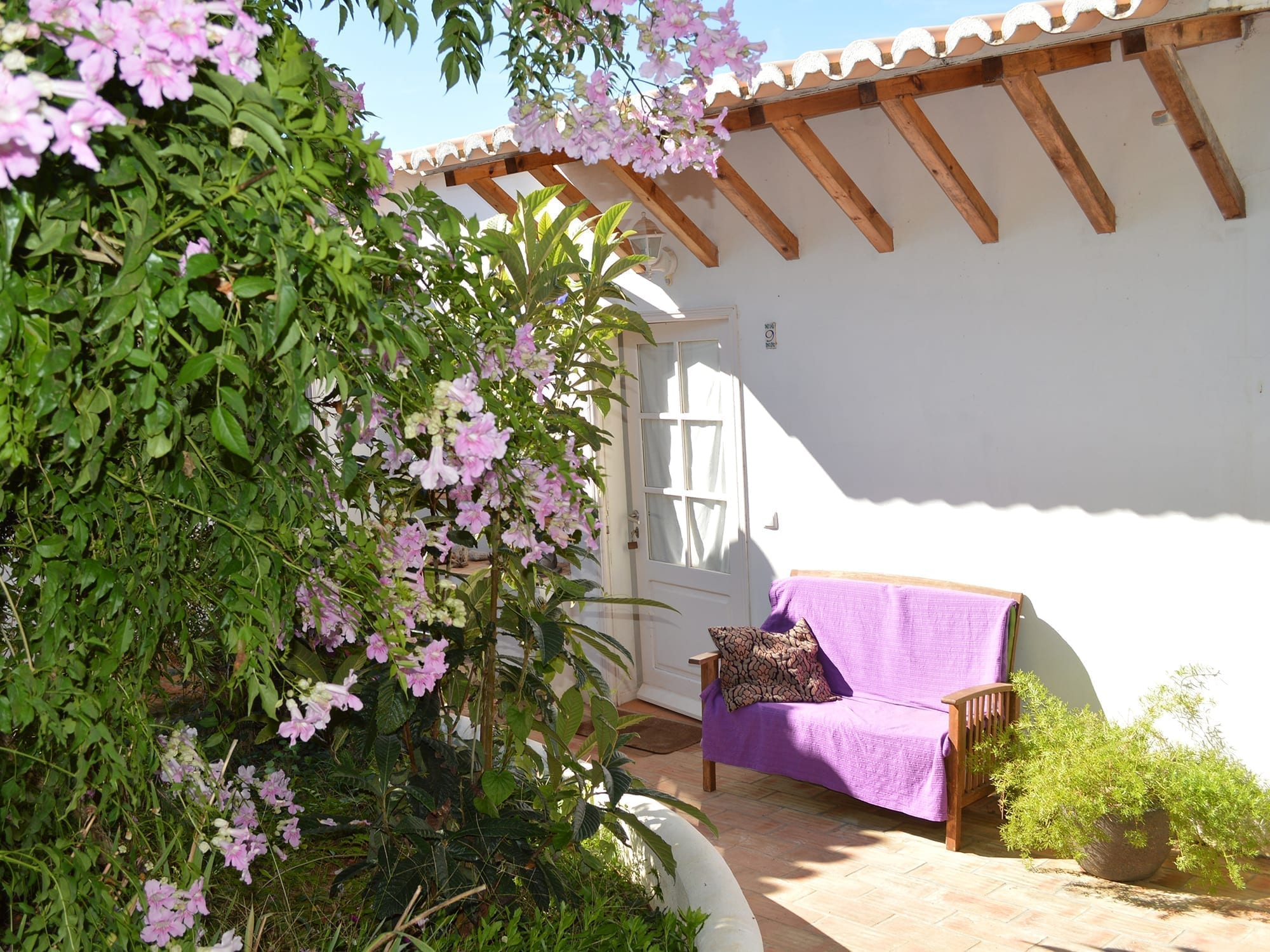 Natuurhuisje in Barão de São João