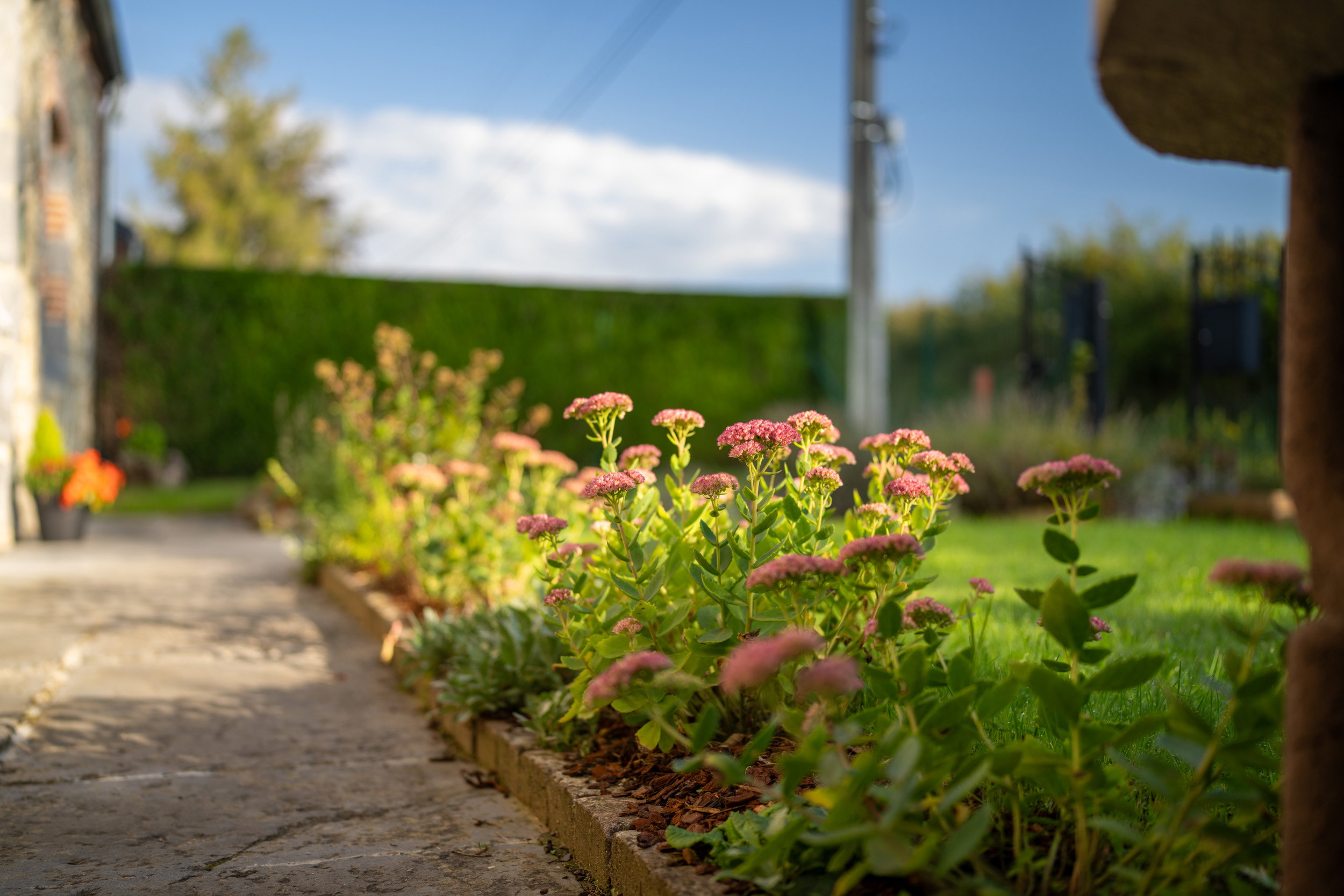 Nature house in Sivry