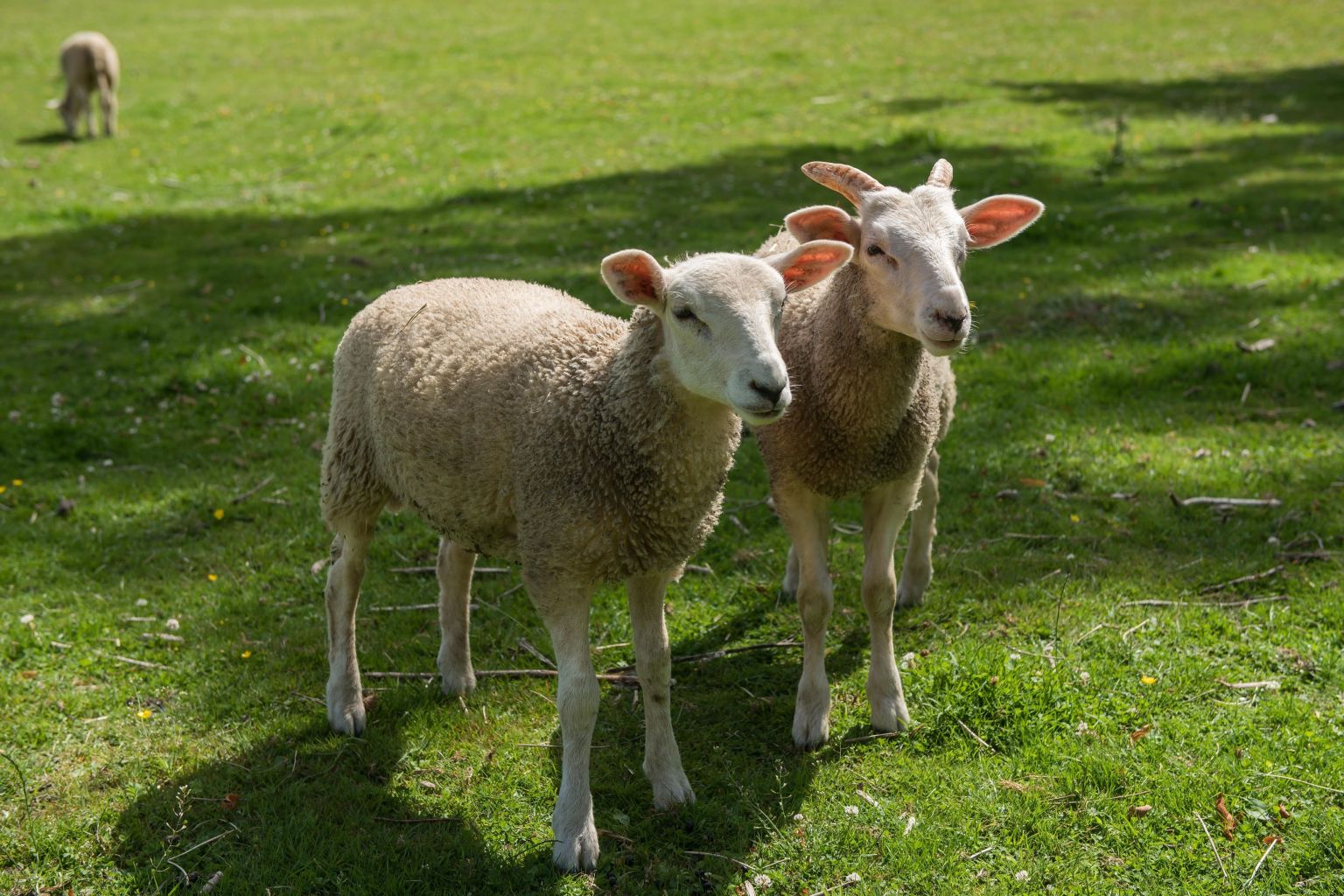 Naturhäuschen in Altenbeken