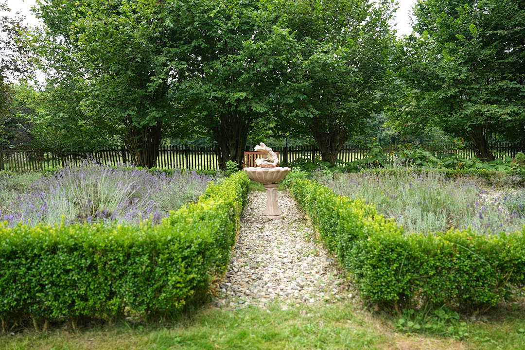 - image: 25
