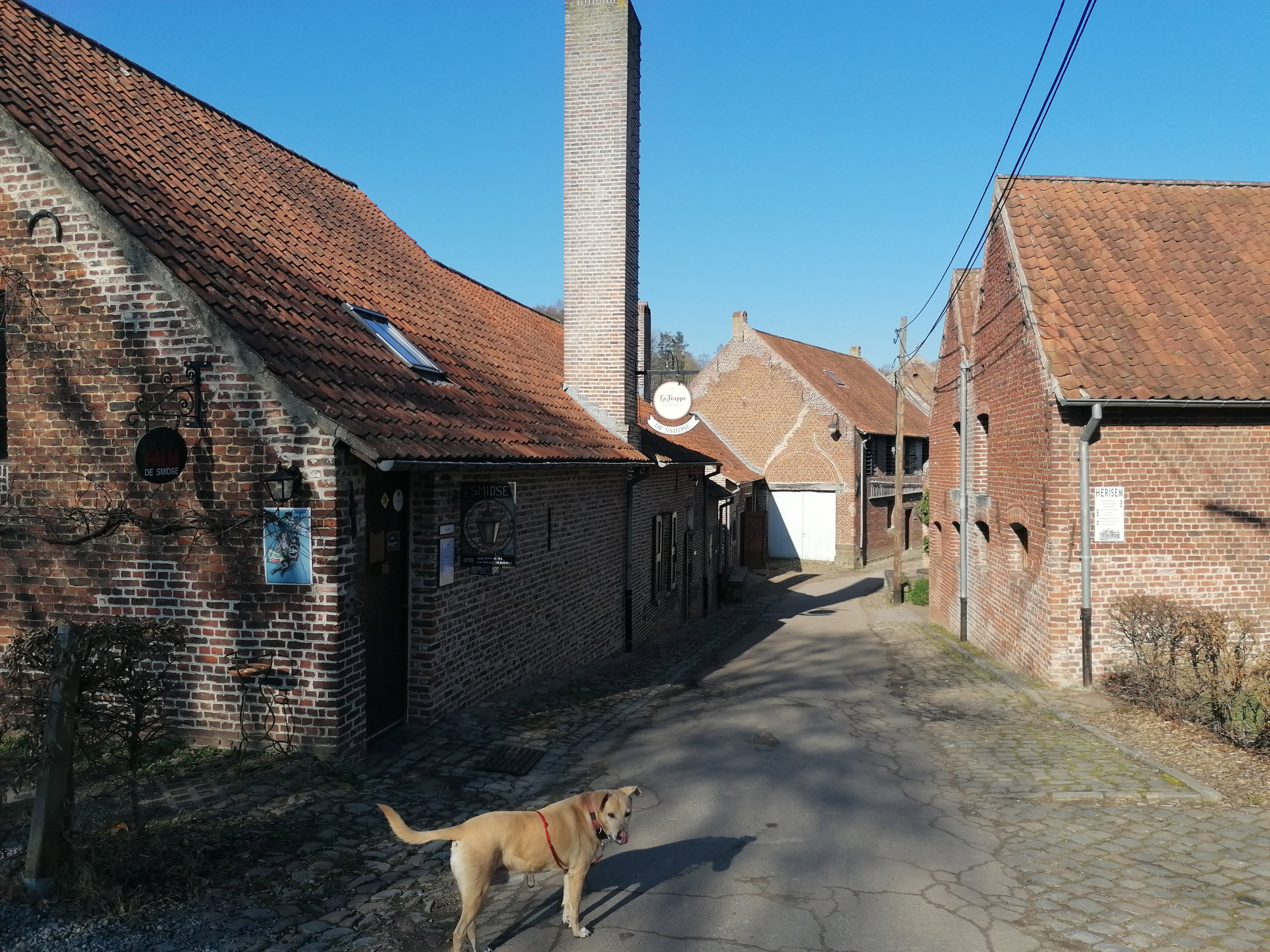 - image: 28