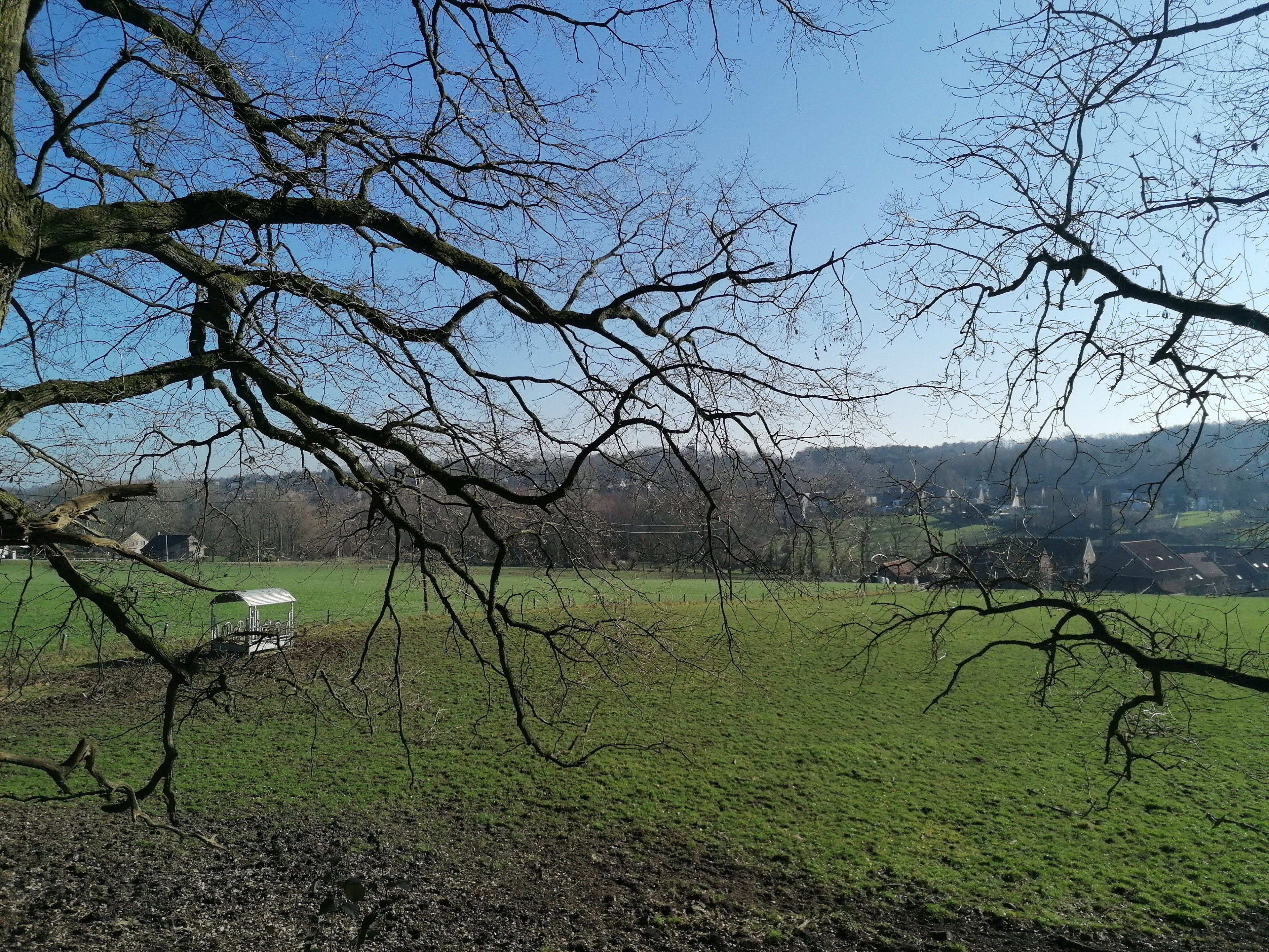 - image: 29