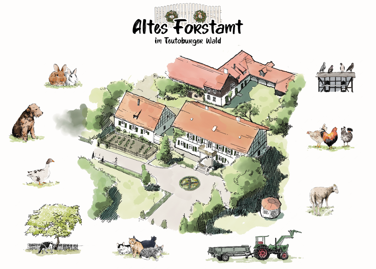 Natuurhuisje in Altenbeken
