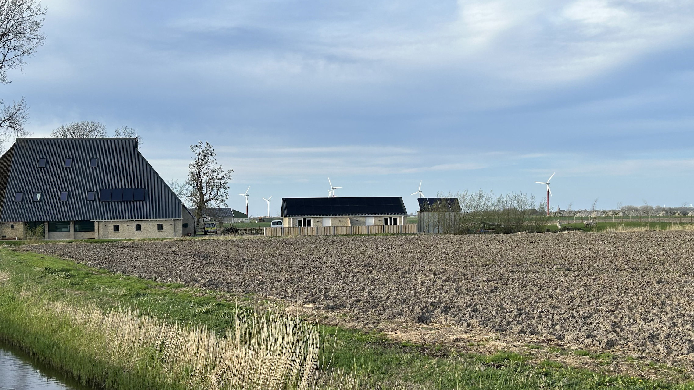 Casa nella natura a Sexbierum