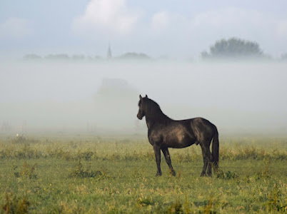 - image: 43