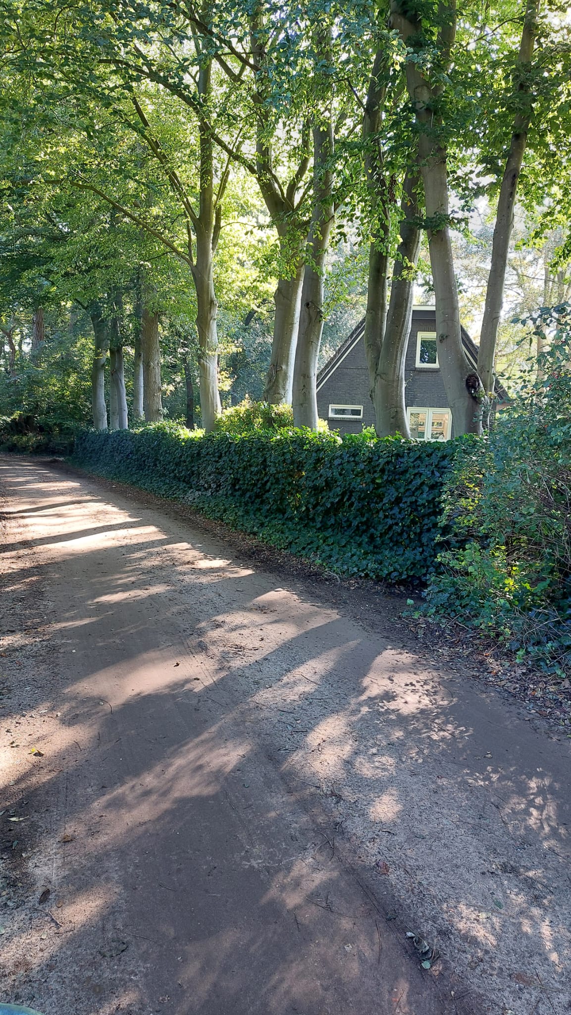 Natuurhuisje in Epse