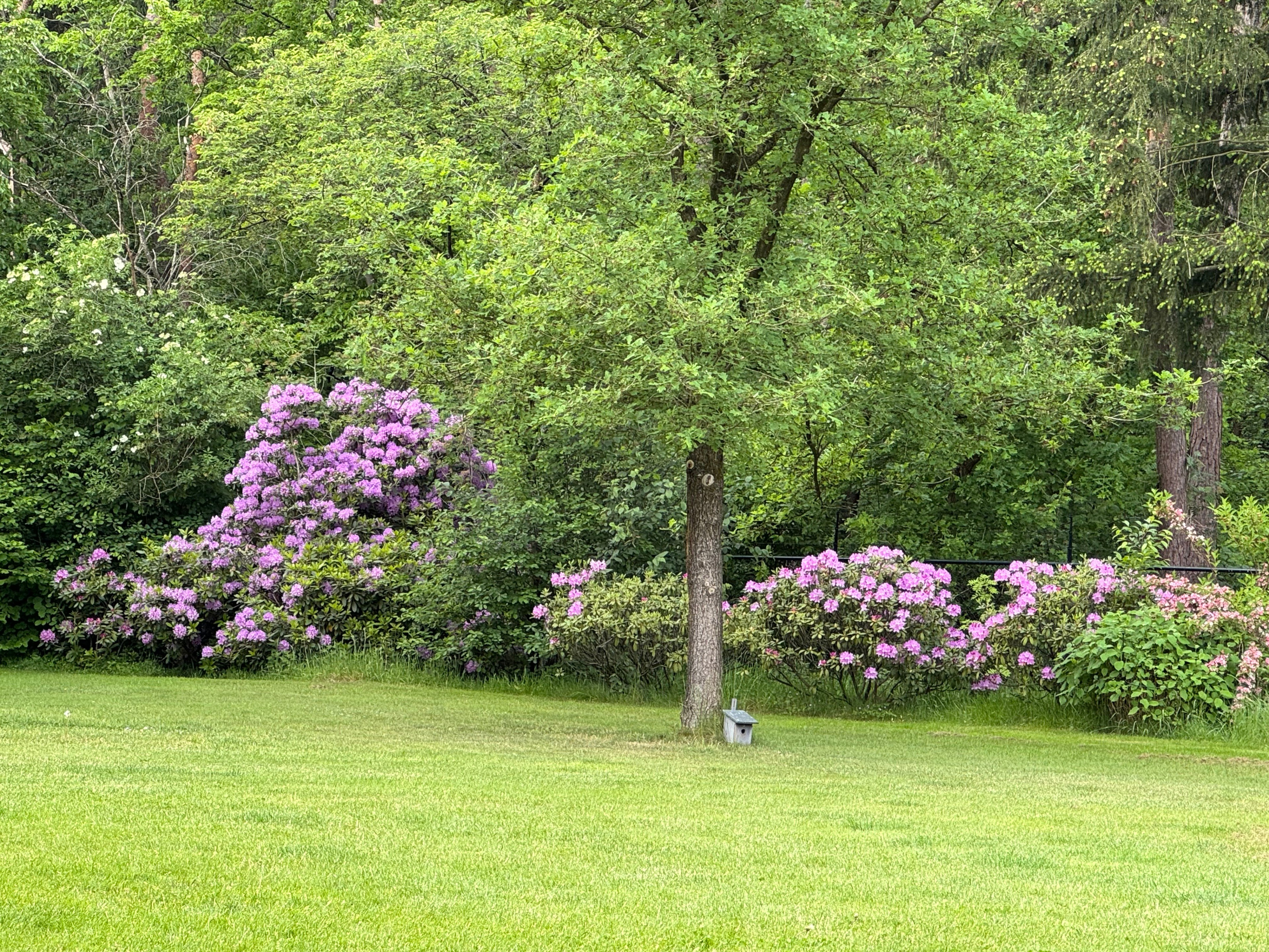 Natuurhuisje in Emst