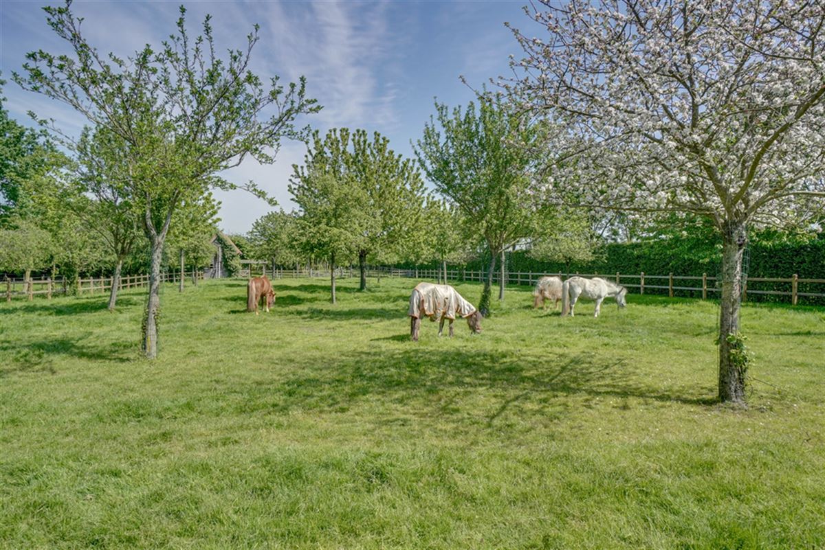 - image: 21