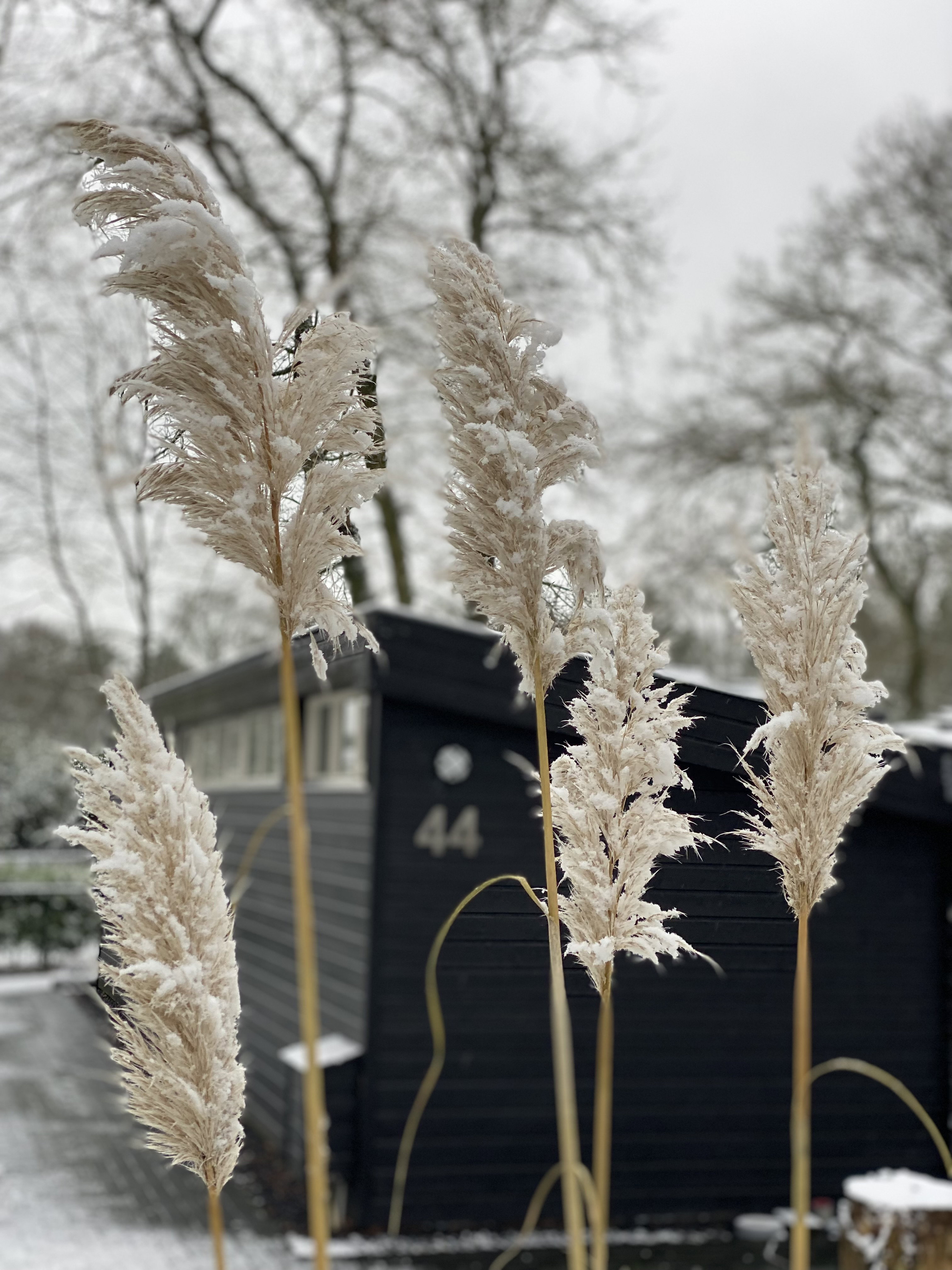 Casa nella natura a Hattemerbroek