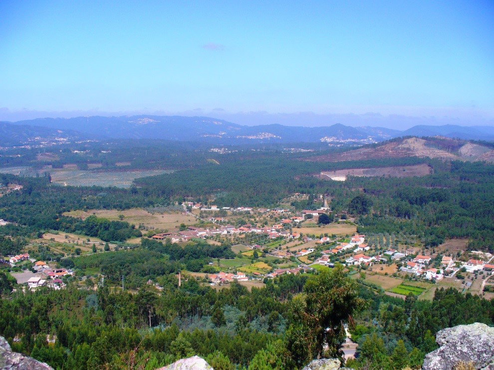 - image: 14