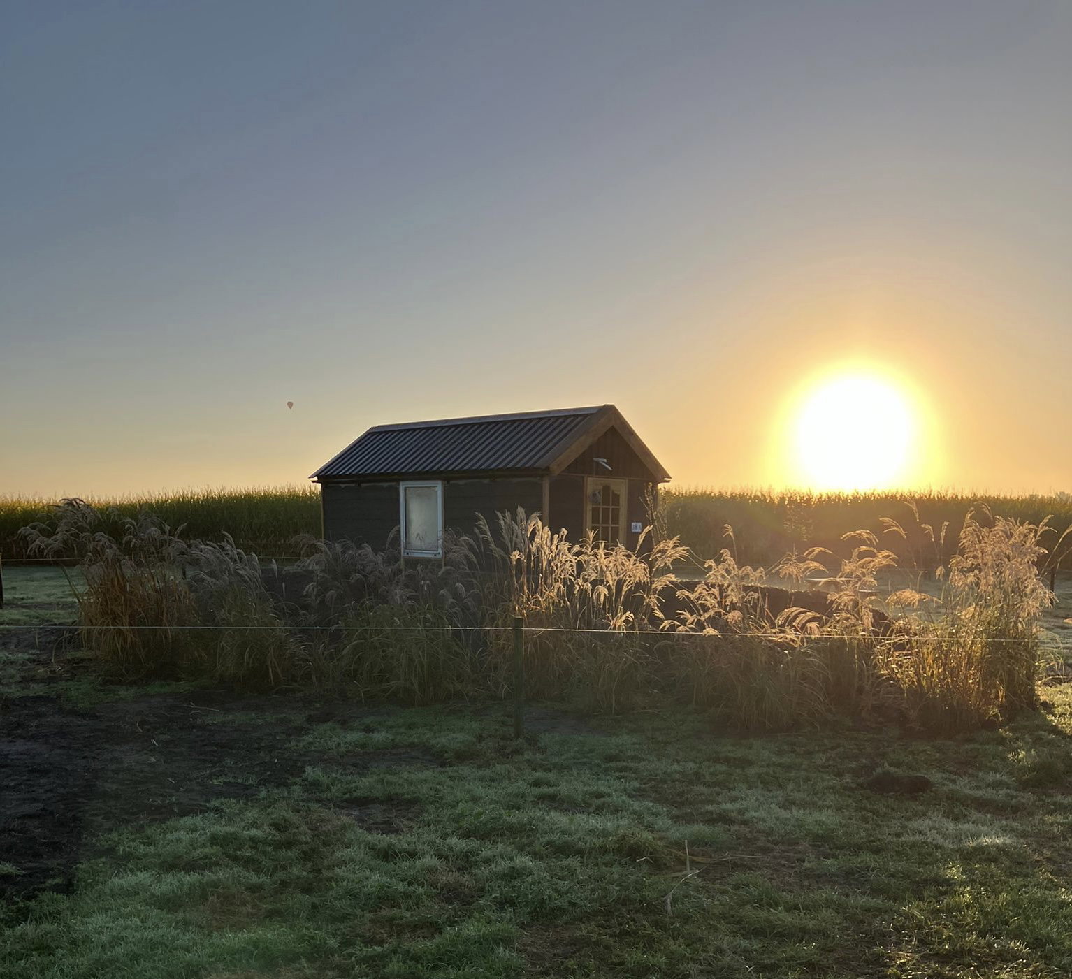 Natuurhuisje in Alteveer