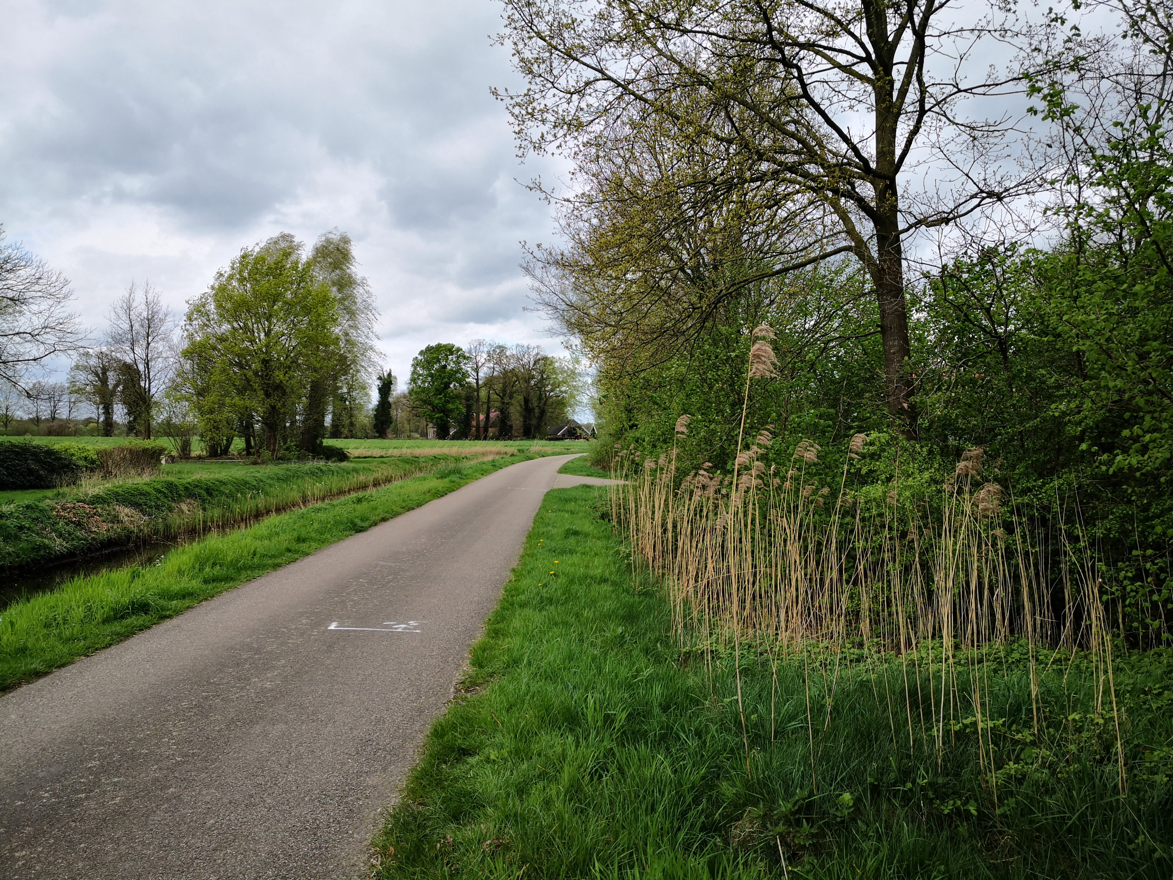 - image: 66
