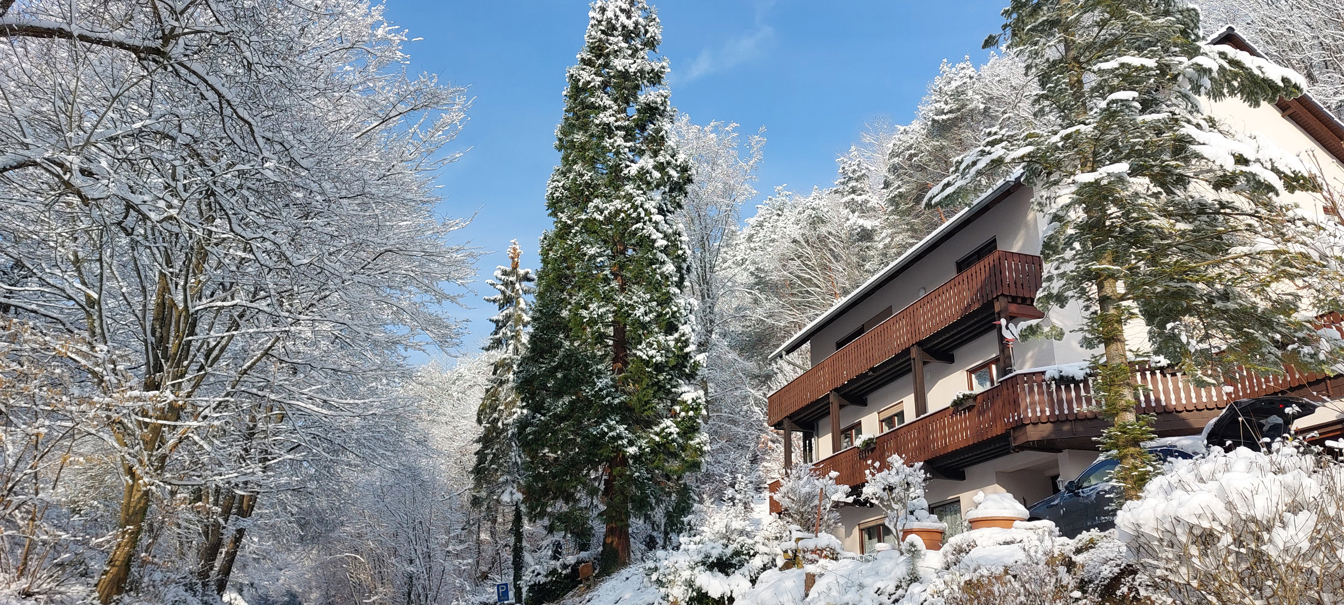 Natuurhuisje in Schweigen-Rechtenbach