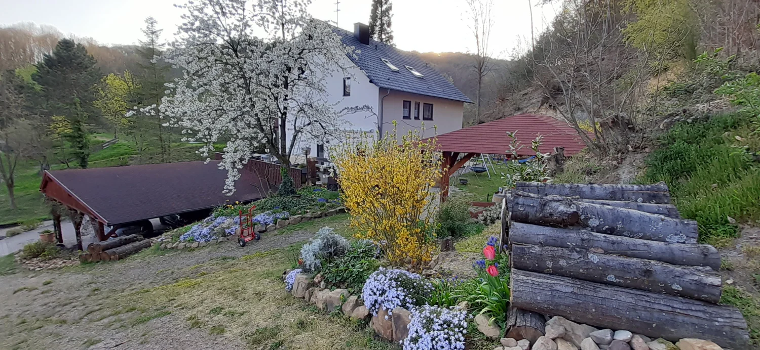 Natuurhuisje in Schweigen-Rechtenbach
