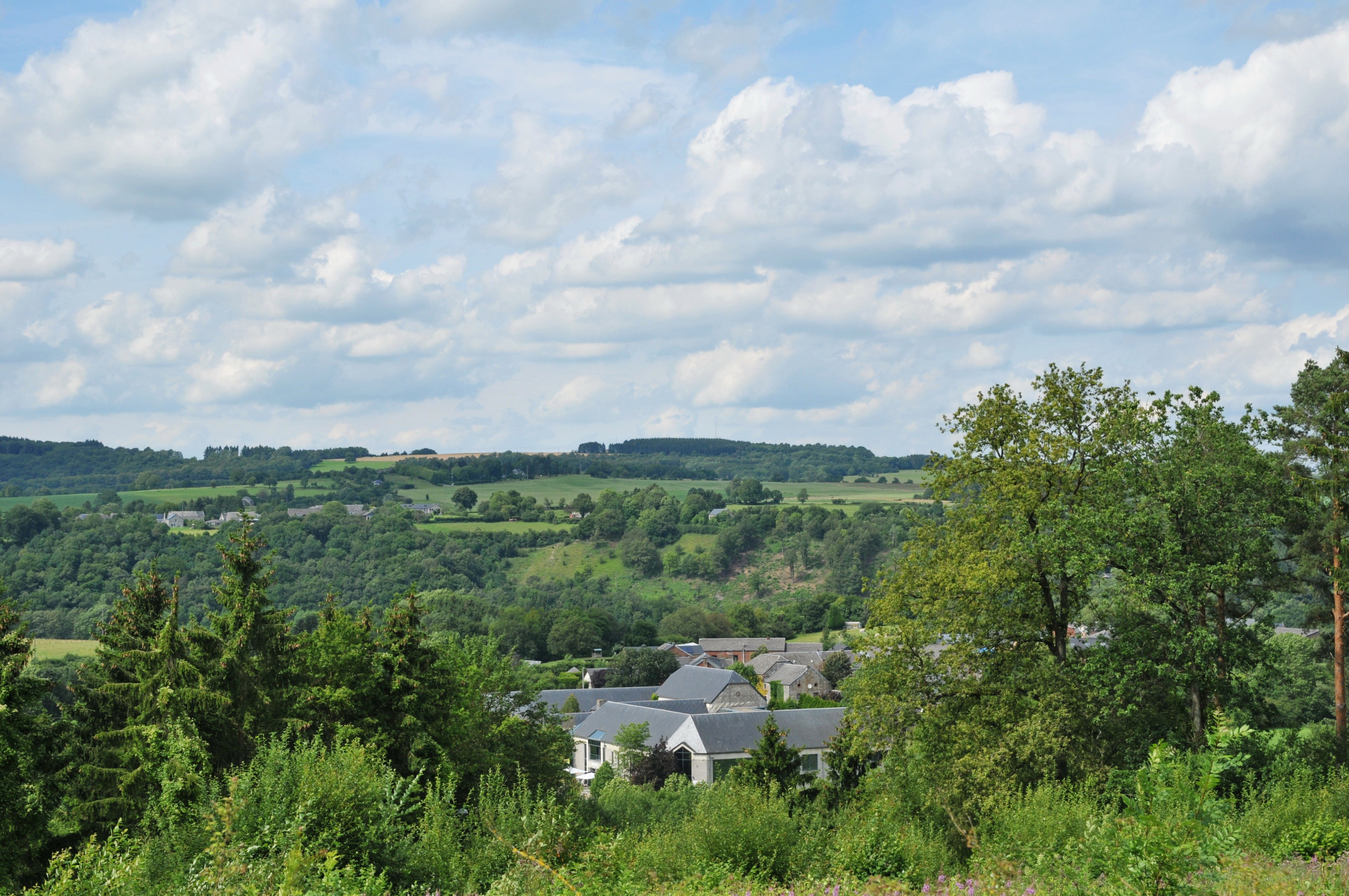 - image: 12