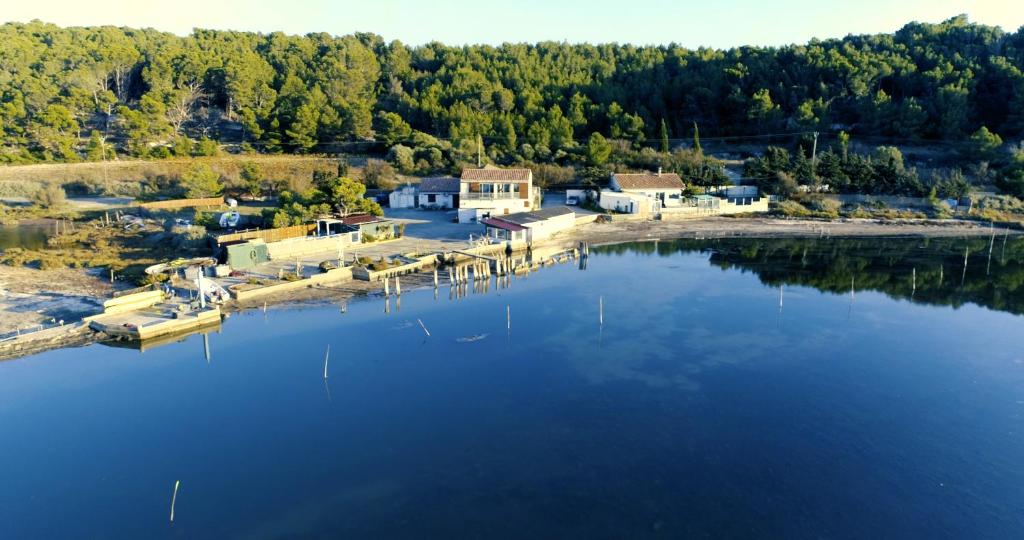 - image: 31