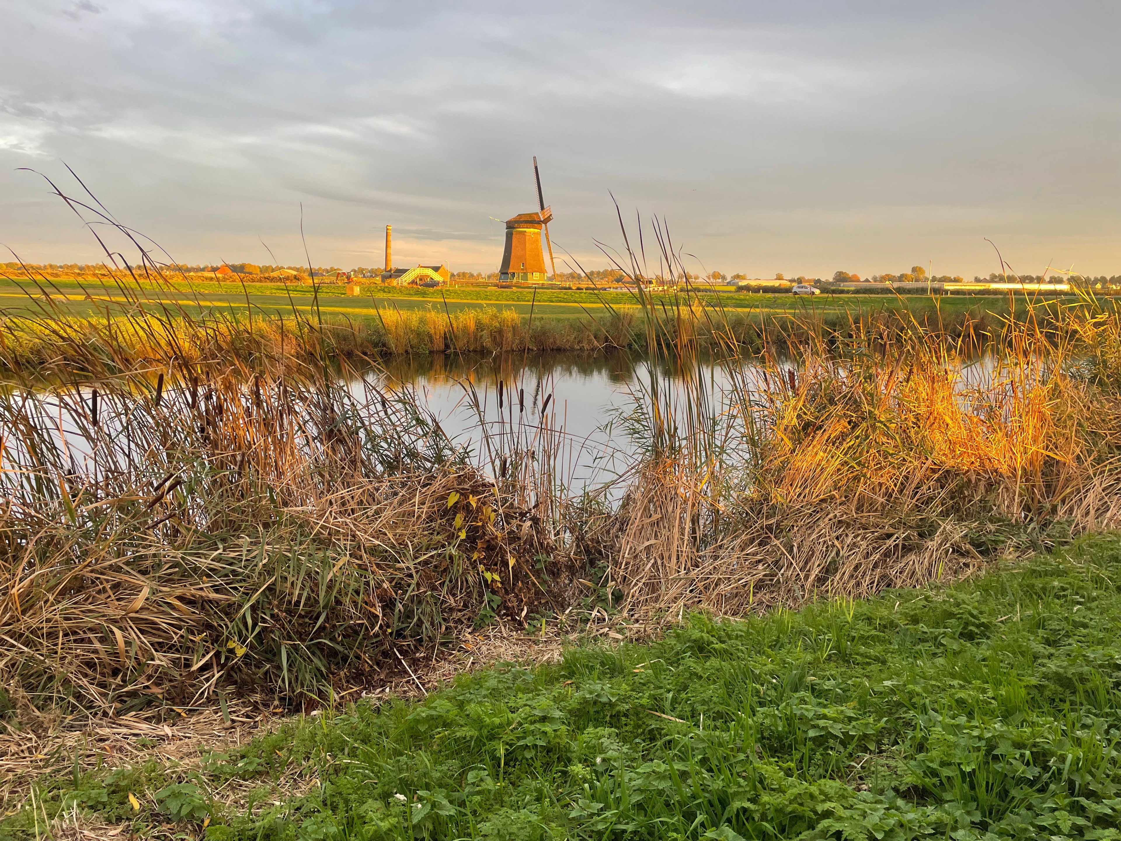 Natuurhuisje in Obdam