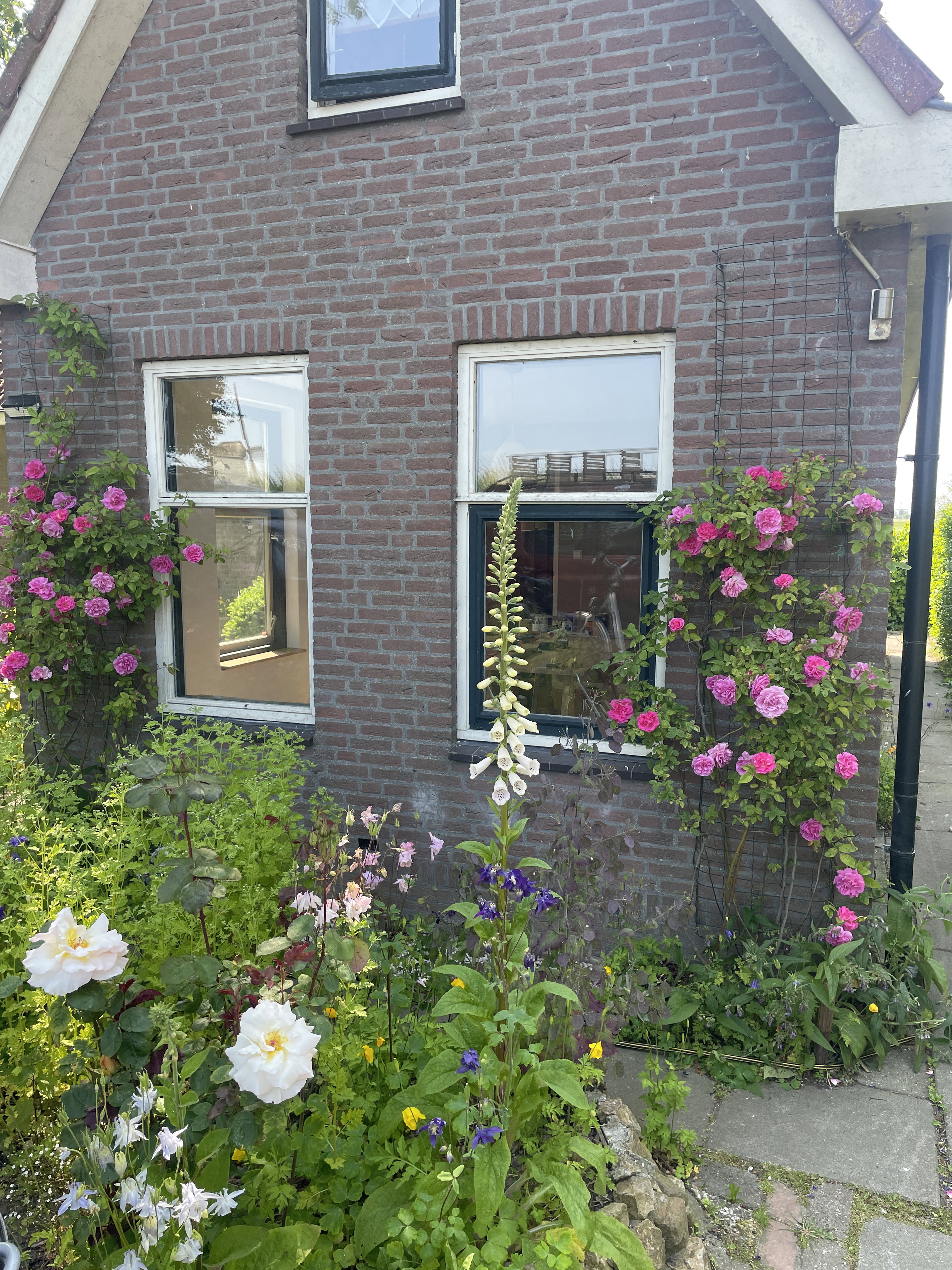Maison nature à Obdam