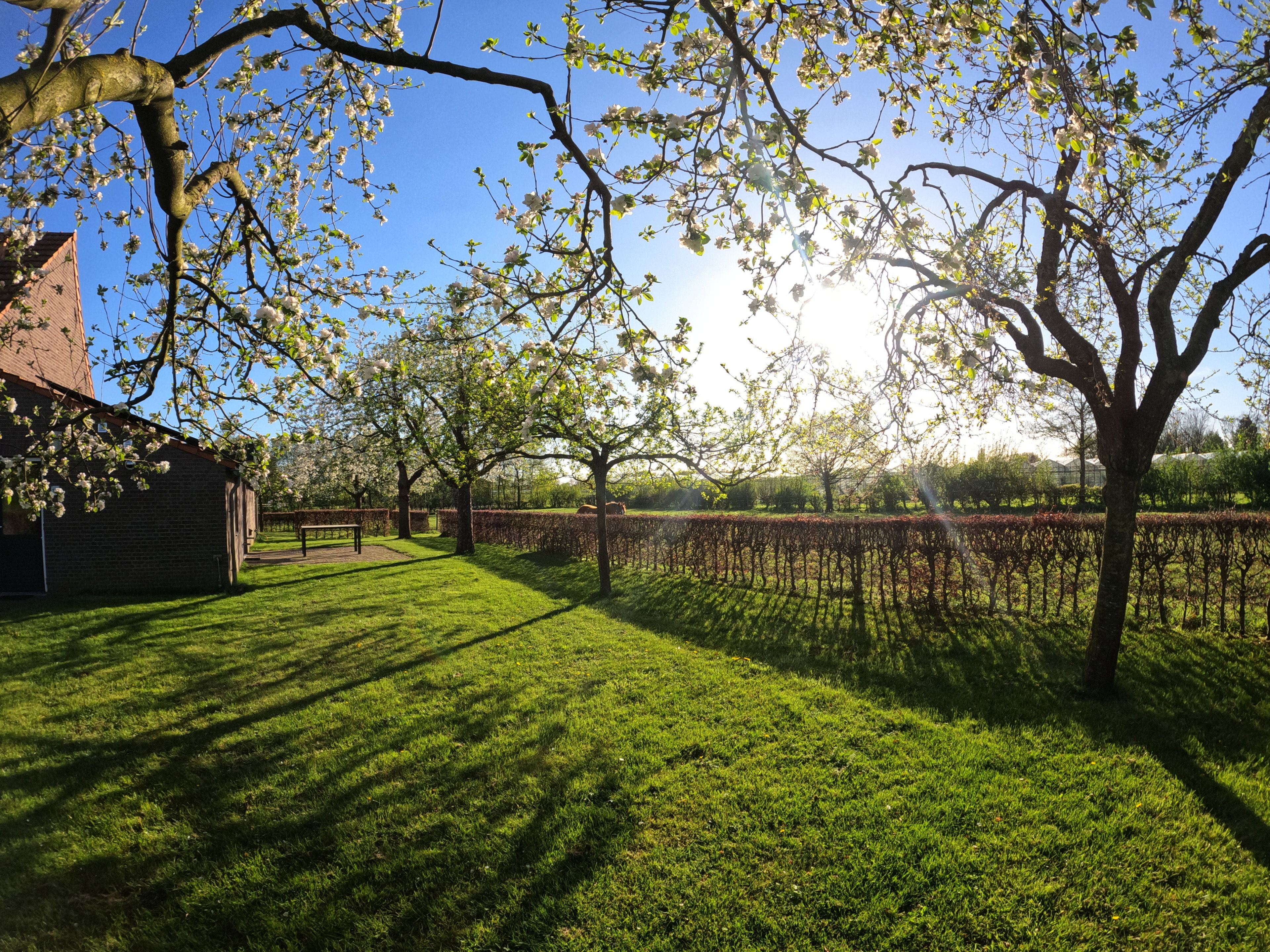 Natuurhuisje in Roggel