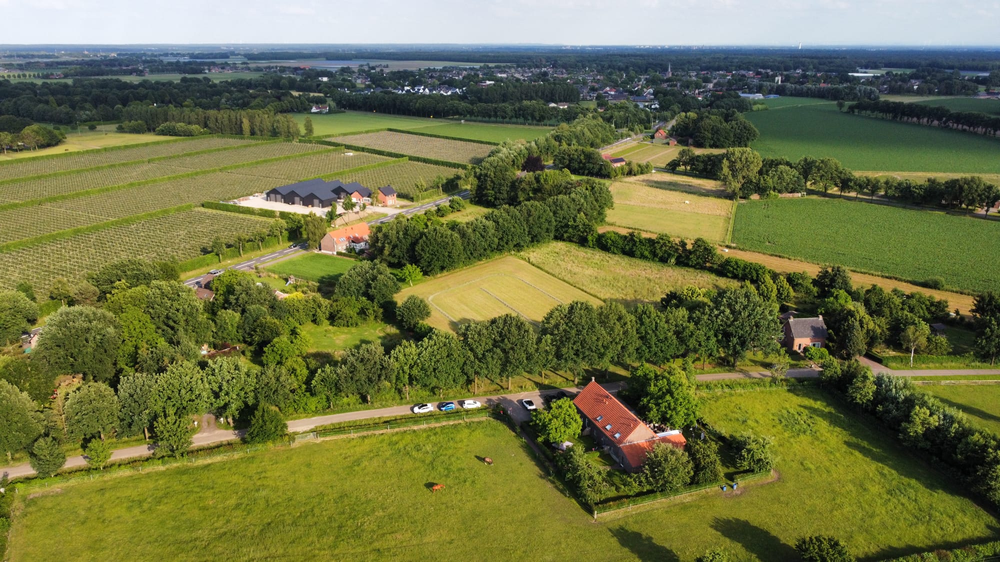 Natuurhuisje in Roggel