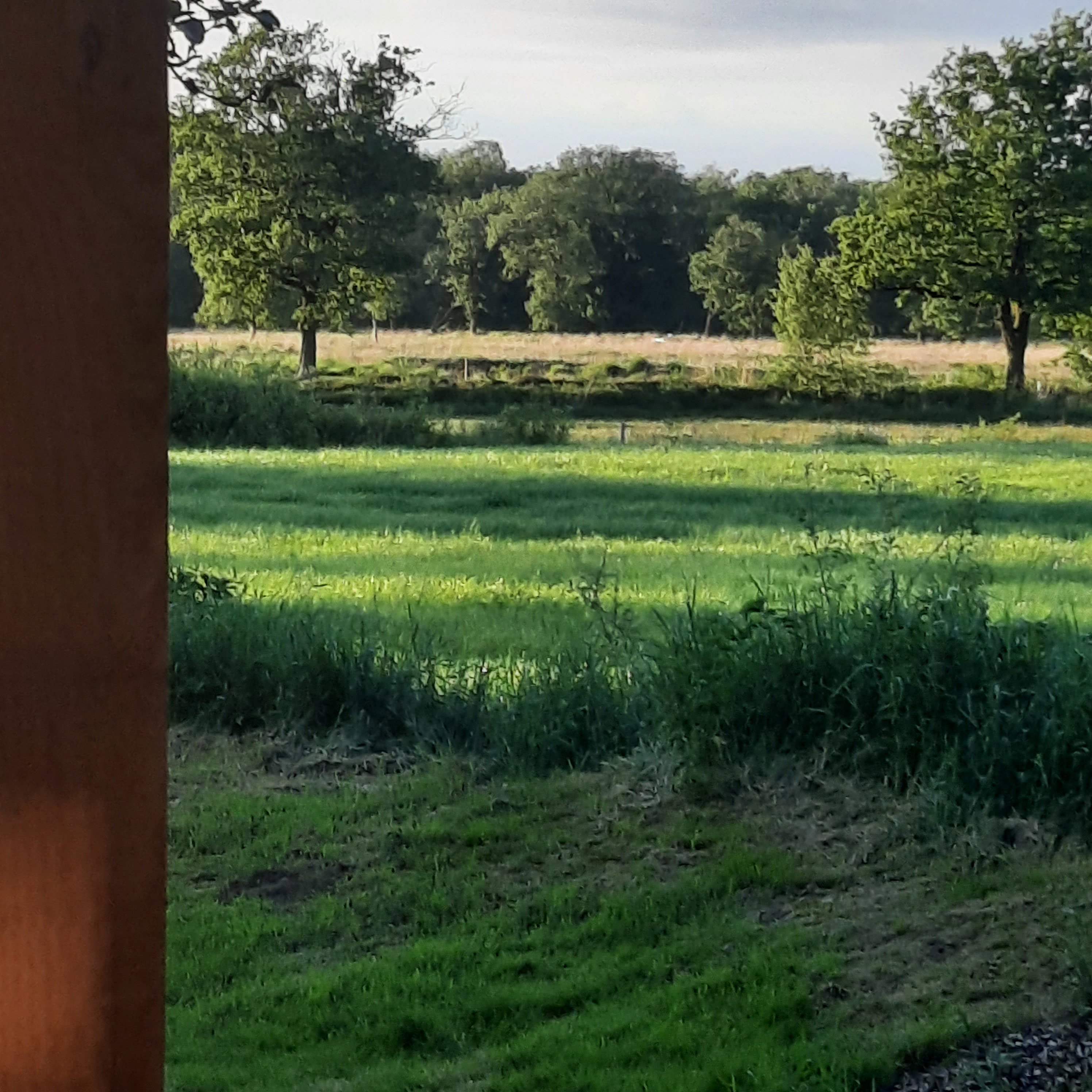 Casa nella natura a Wijnjewoude