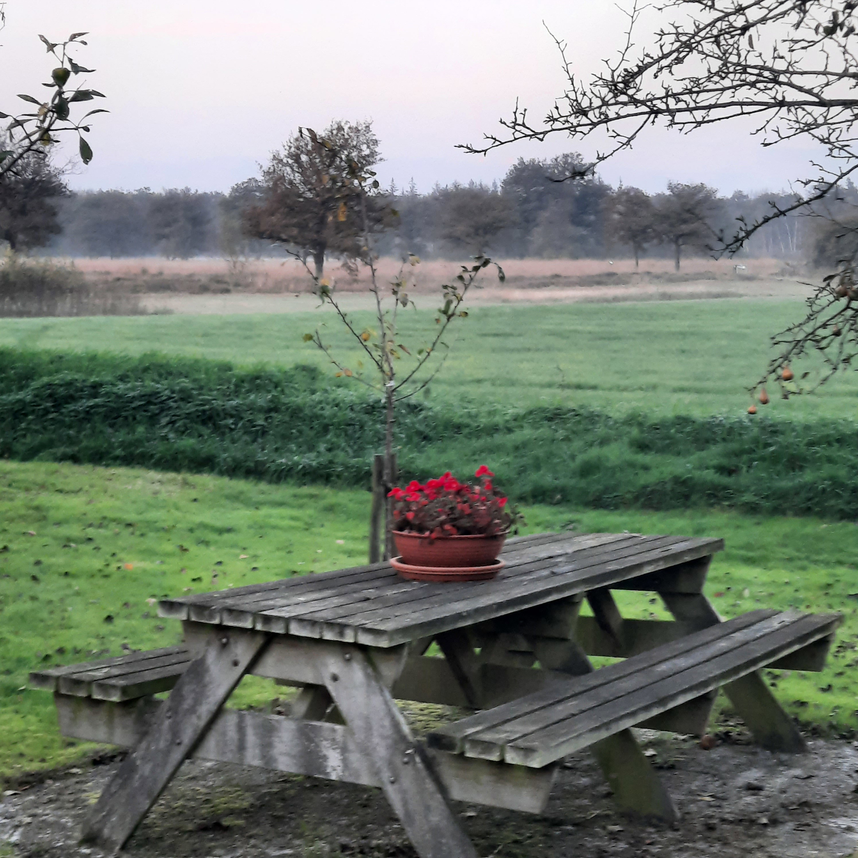 Casa nella natura a Wijnjewoude