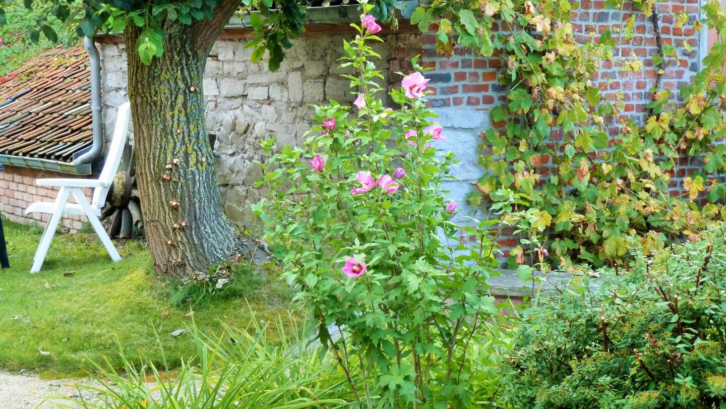 Natuurhuisje in Ecaussinnes