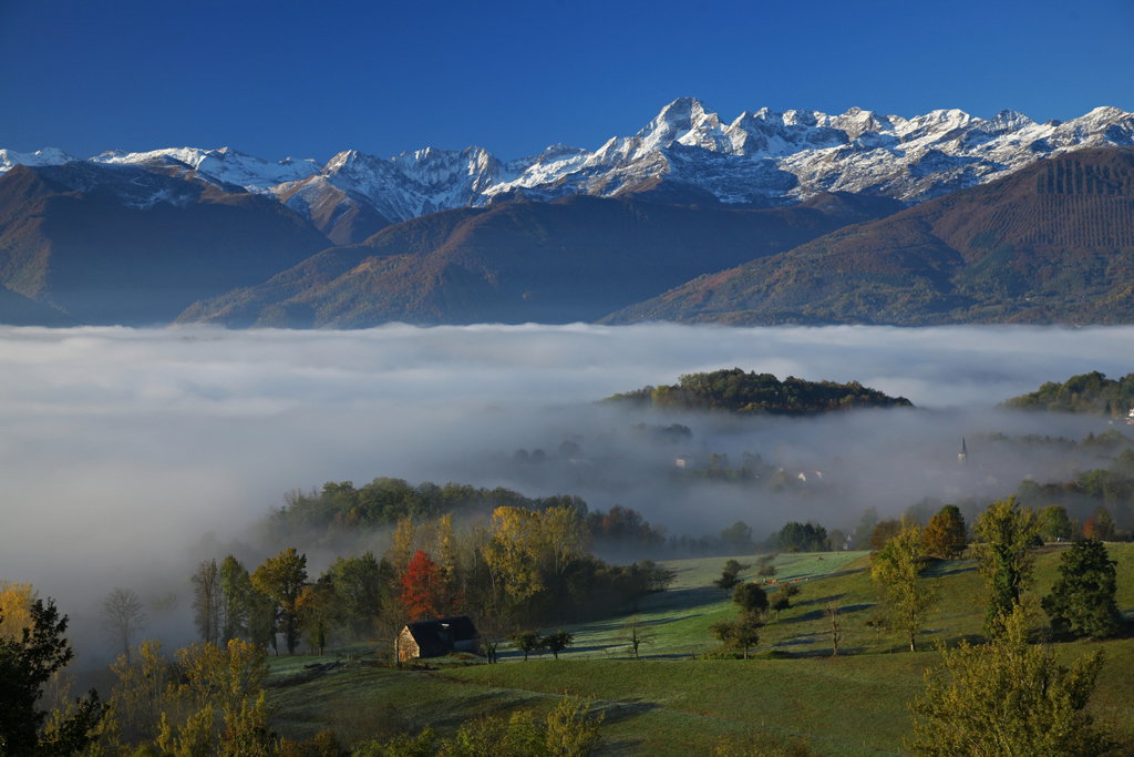 - image: 11