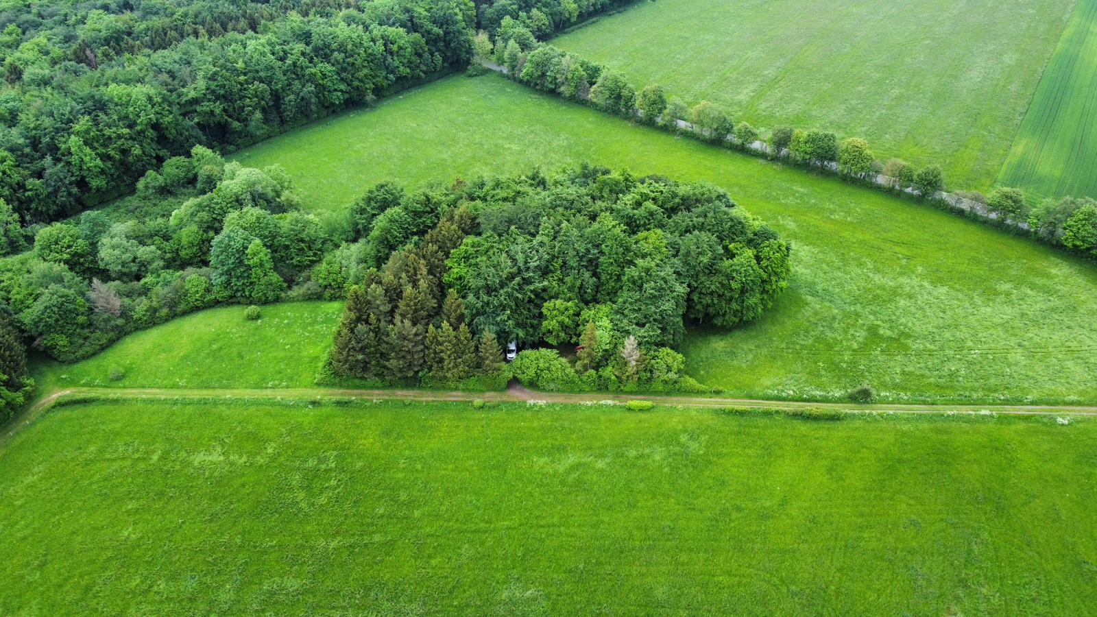 Natuurhuisje in Esch