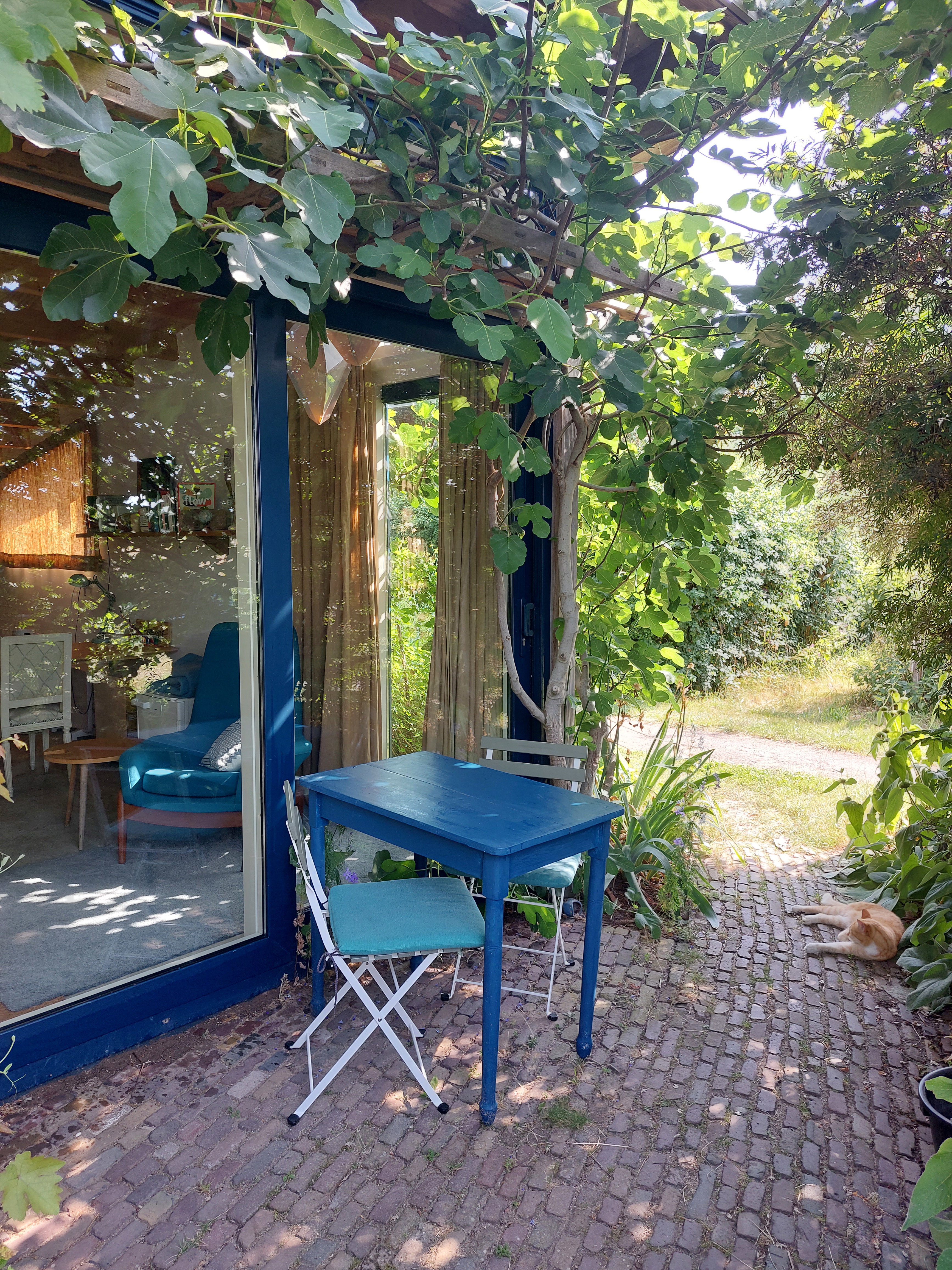 Natuurhuisje in Olst