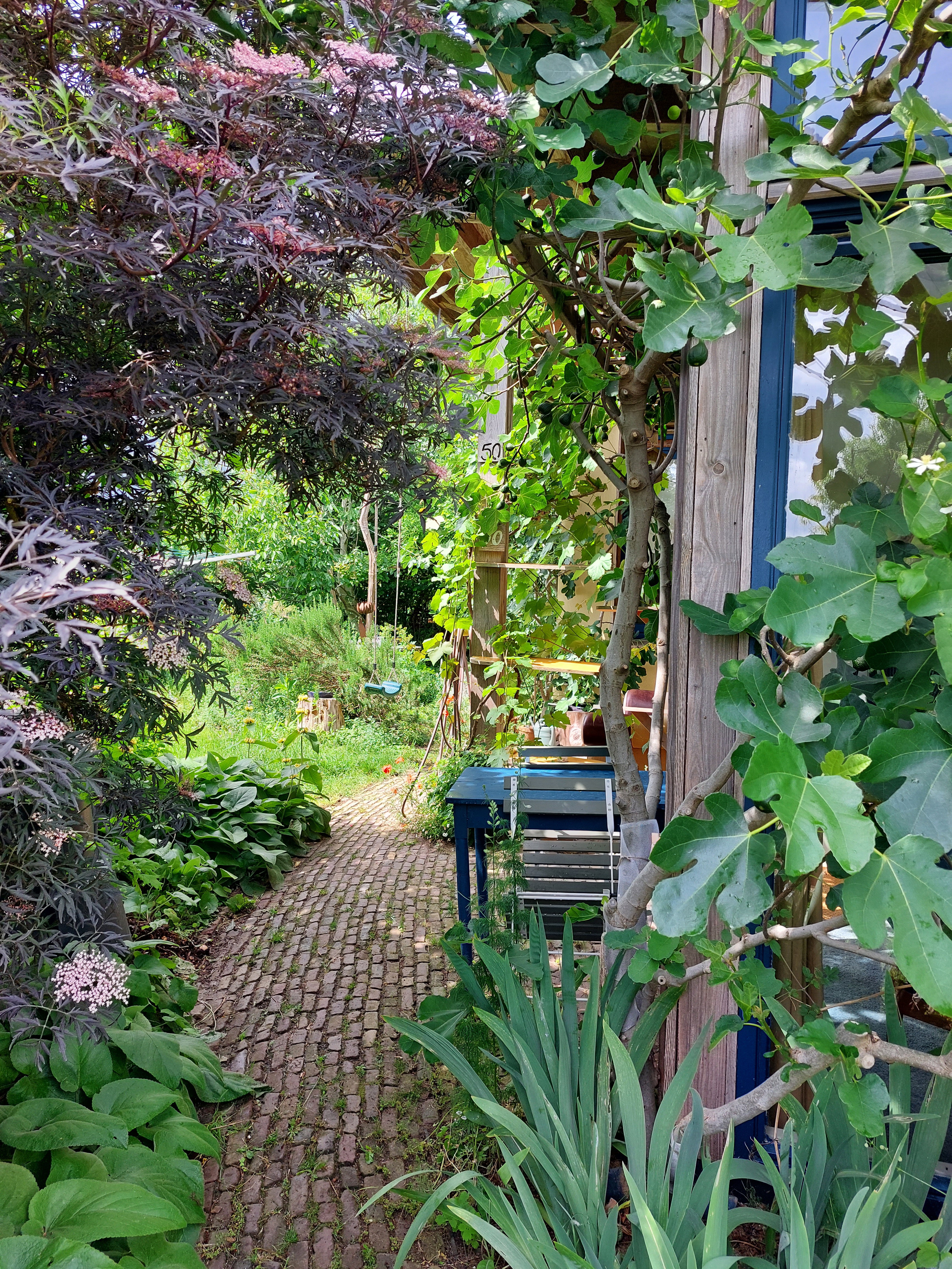 Natuurhuisje in Olst