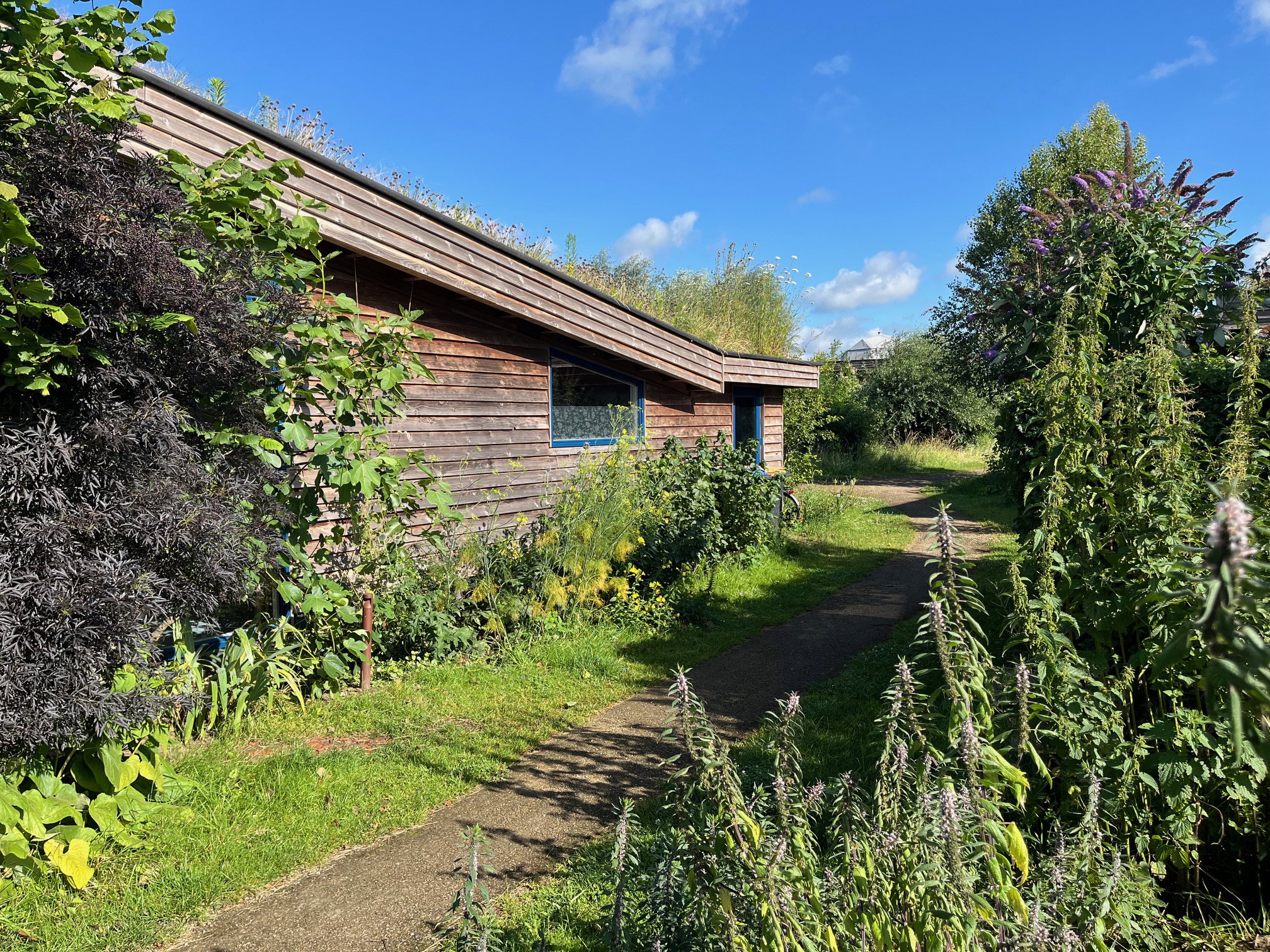 Natuurhuisje in Olst