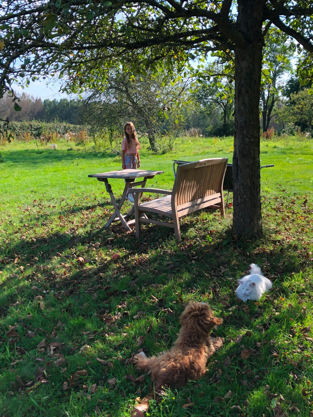 Natuurhuisje in Erwetegem
