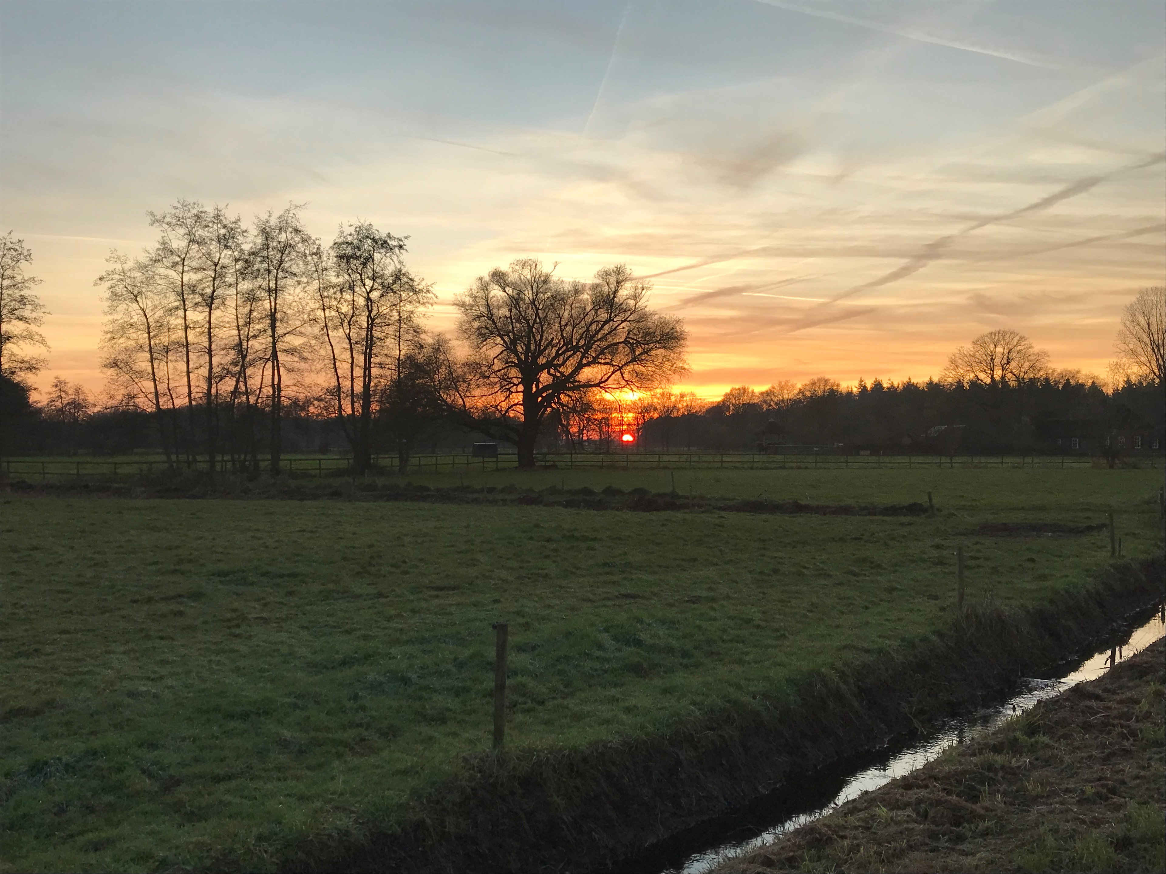 Naturhäuschen in Boxtel