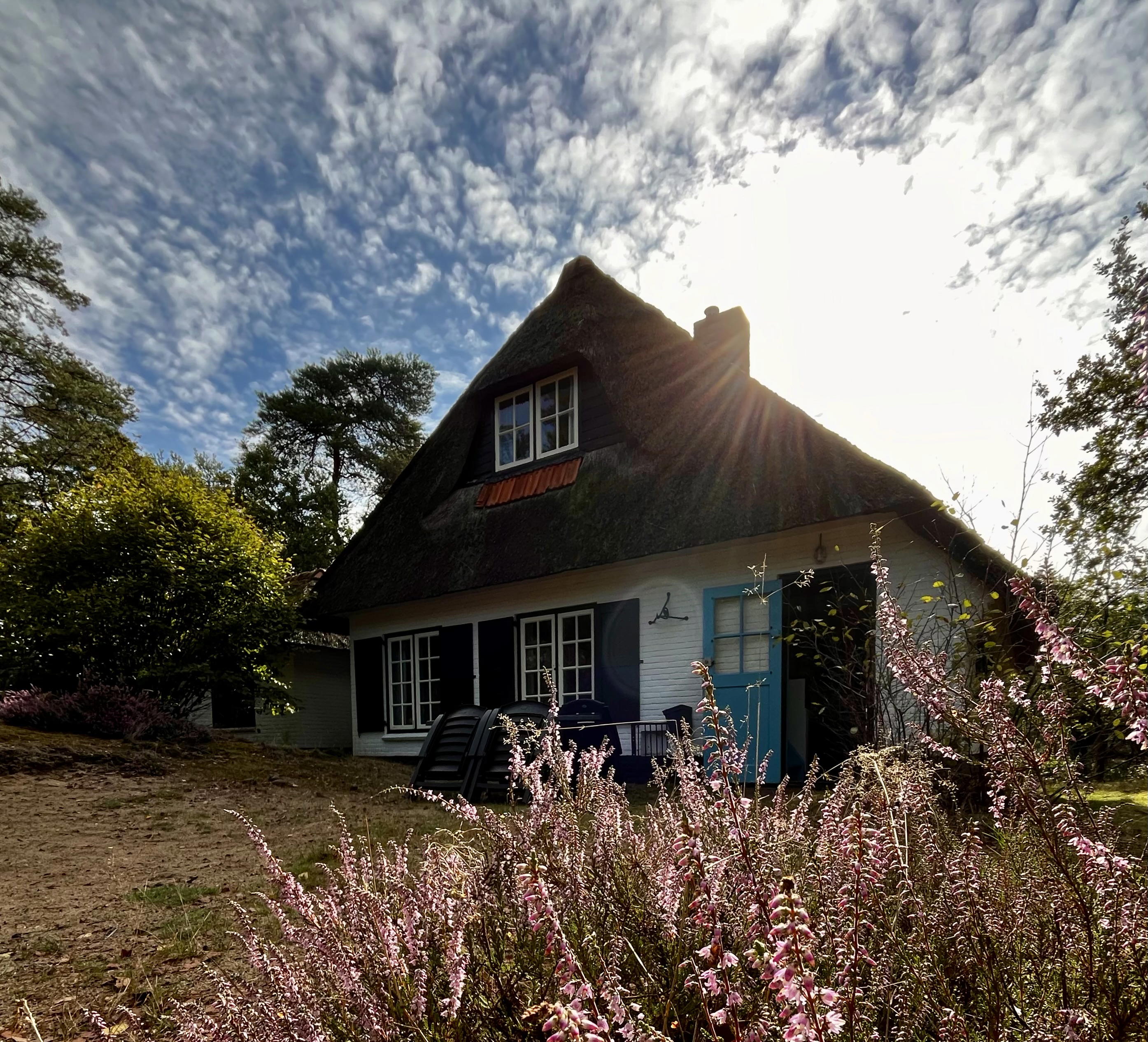Natuurhuisje in Doornspijk