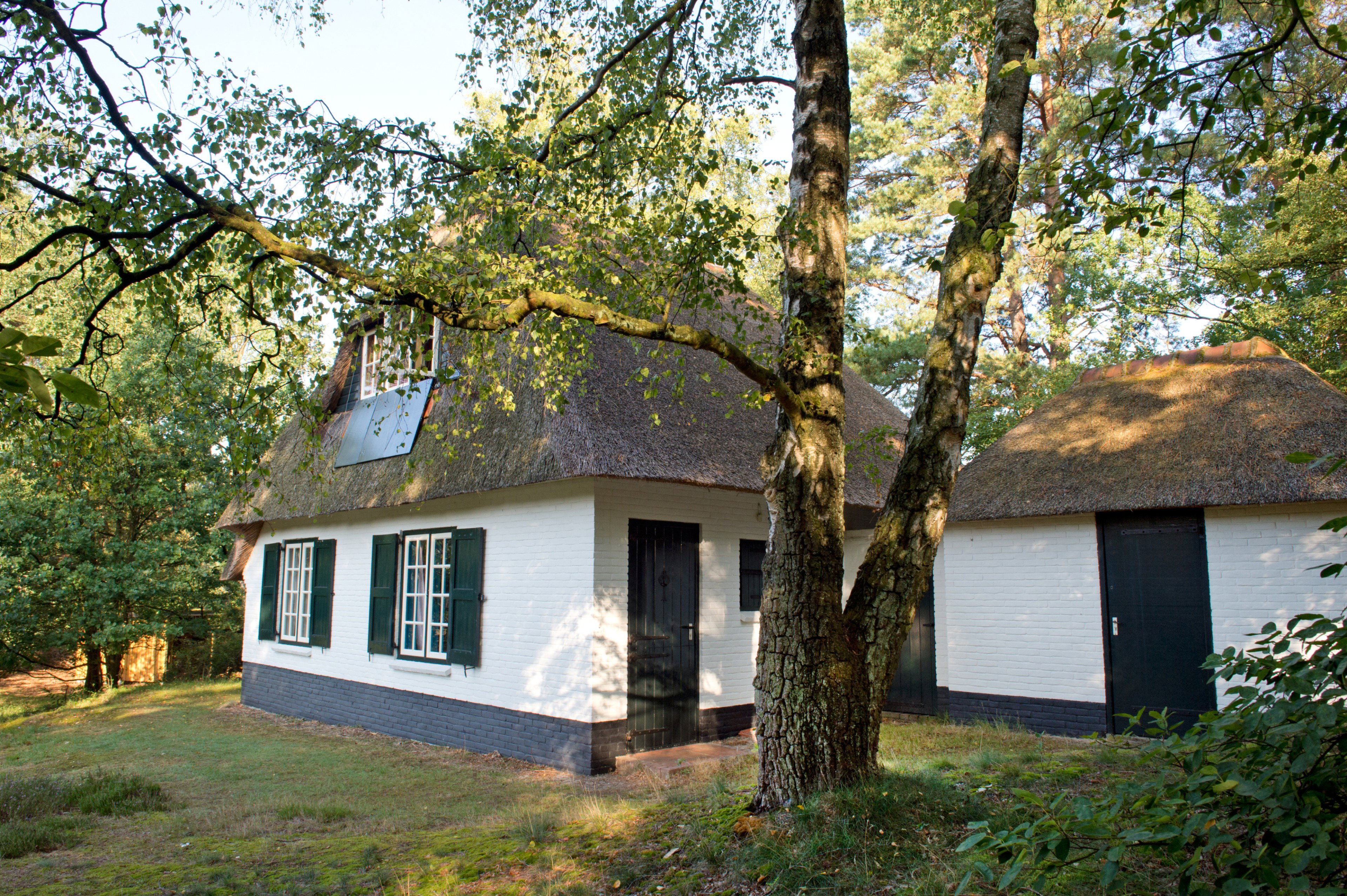 Naturhäuschen in Doornspijk